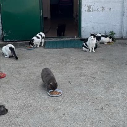 Colonia “I Bamboccioli"