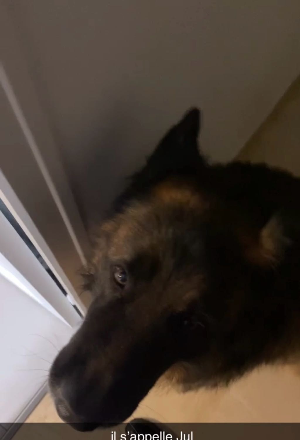 image-6