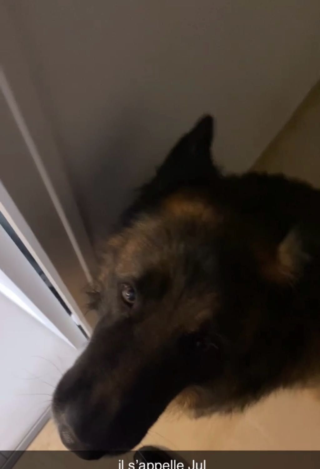 image-6