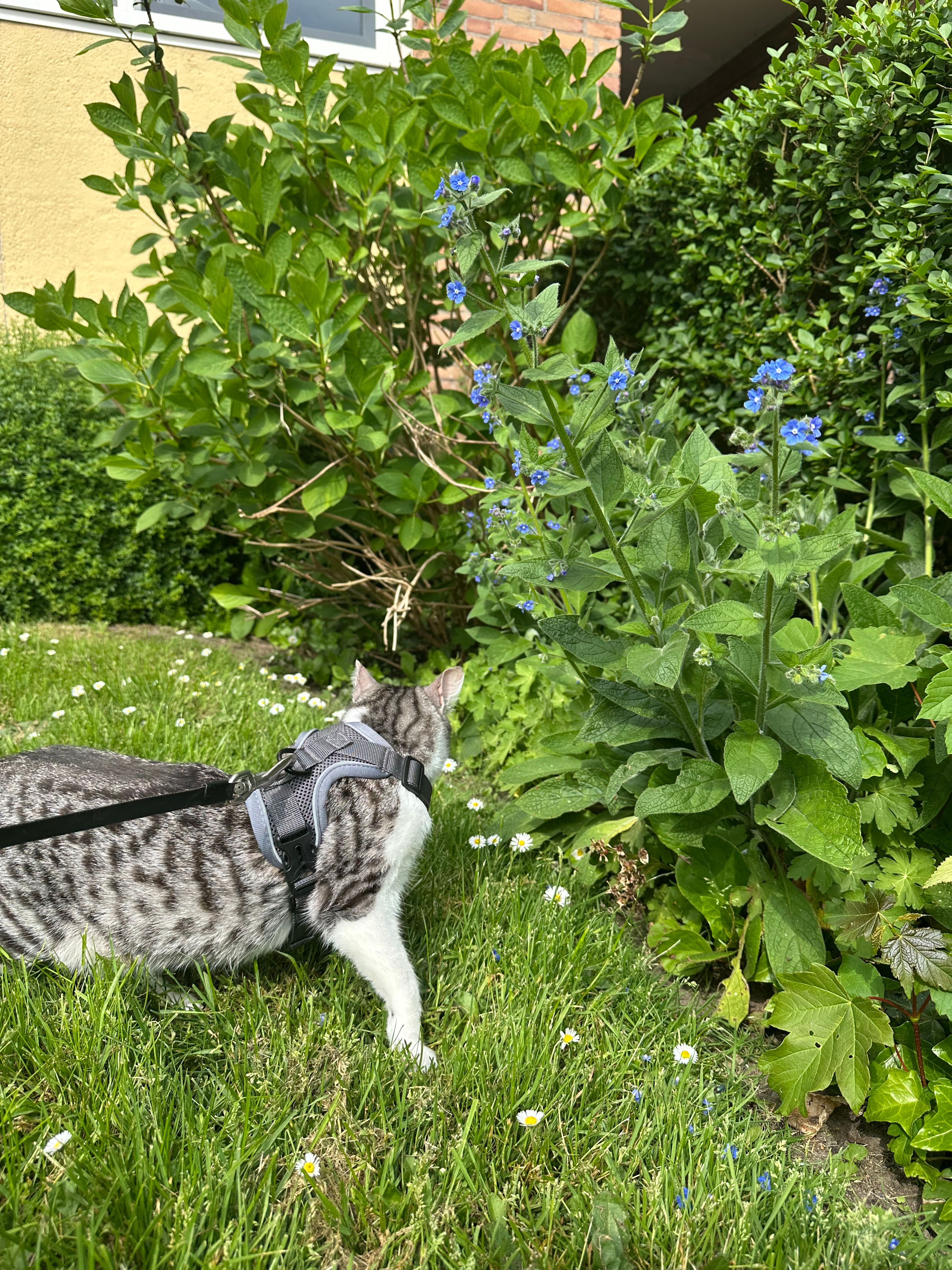 image-5
