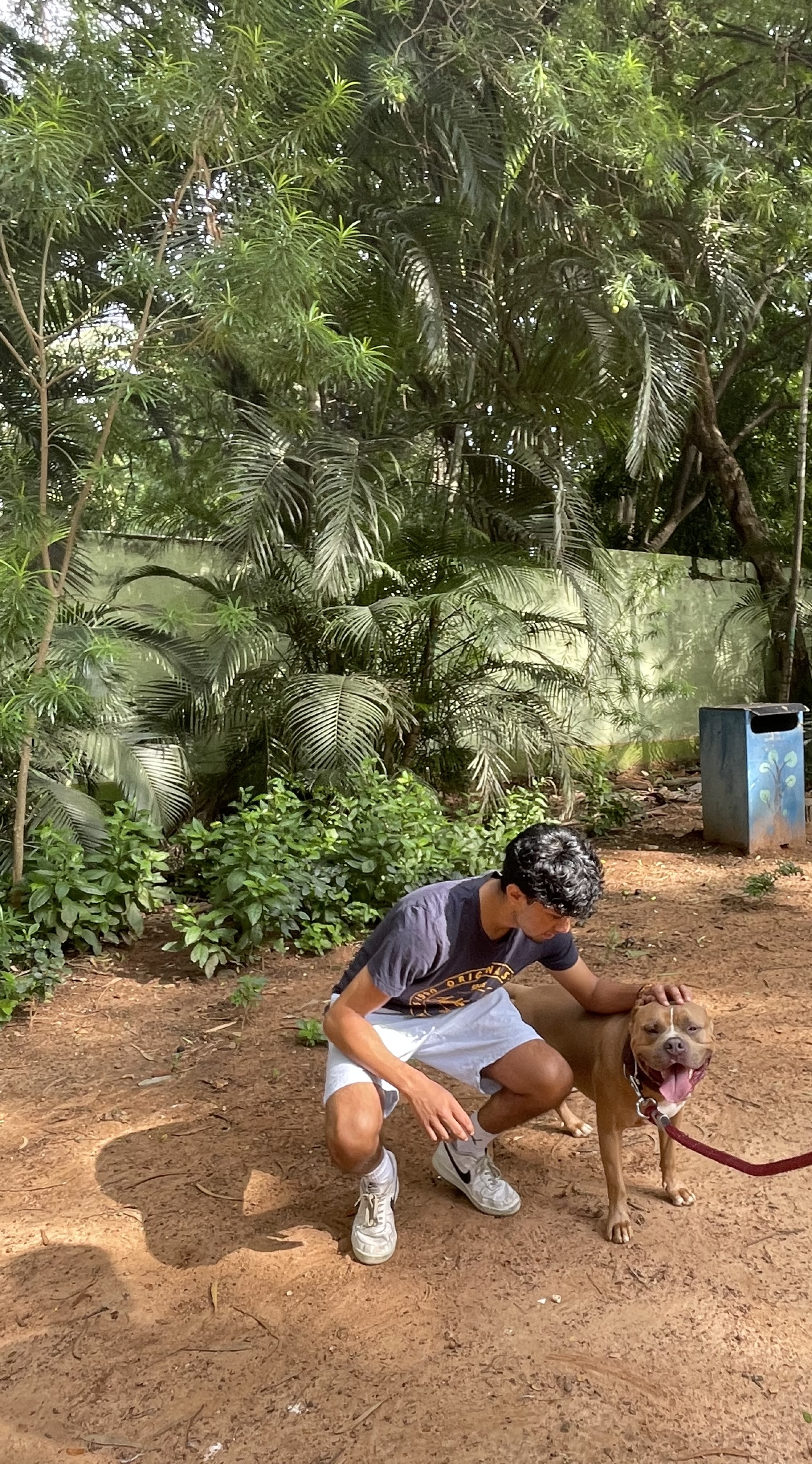 image-4
