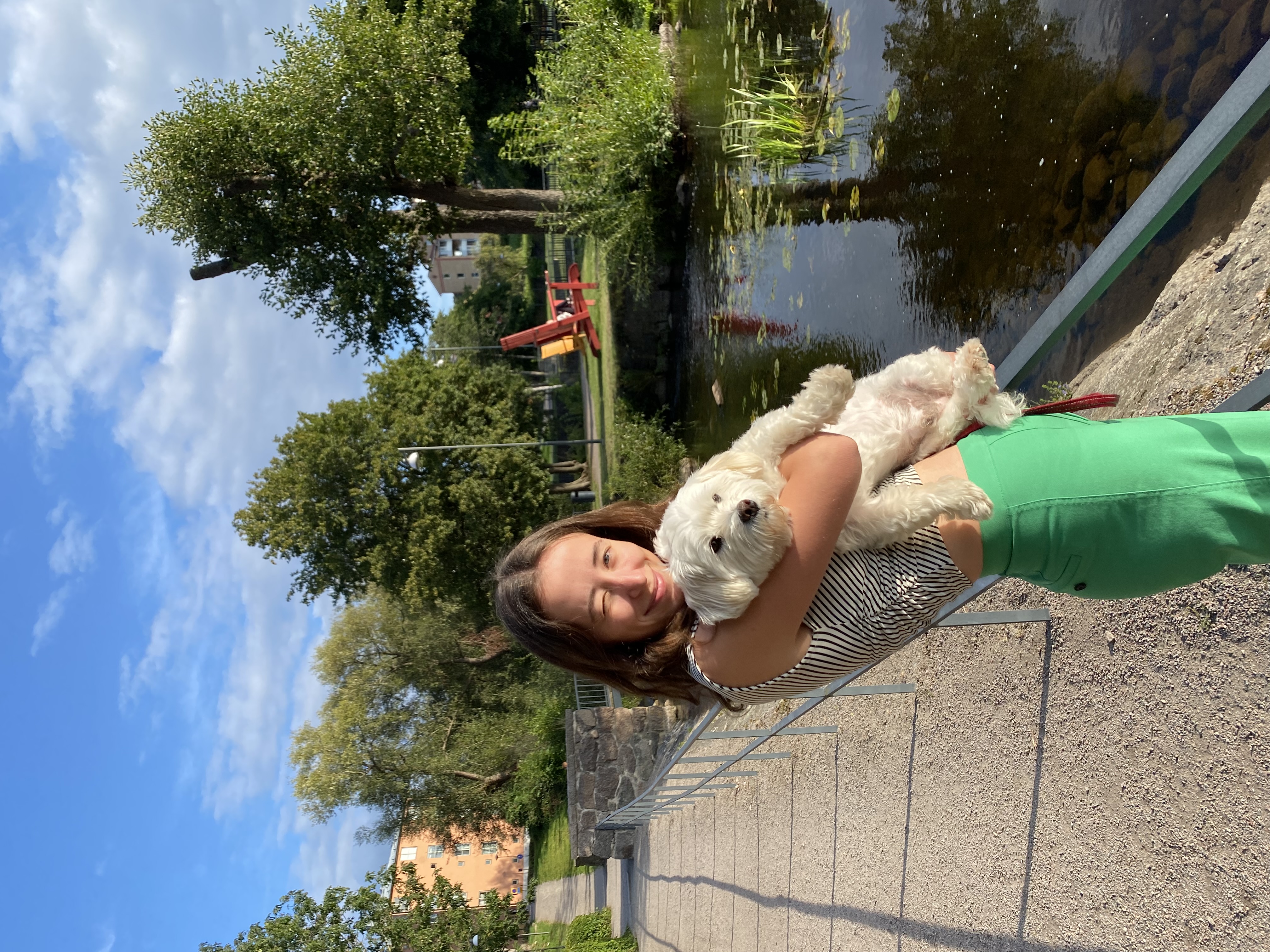 image-3