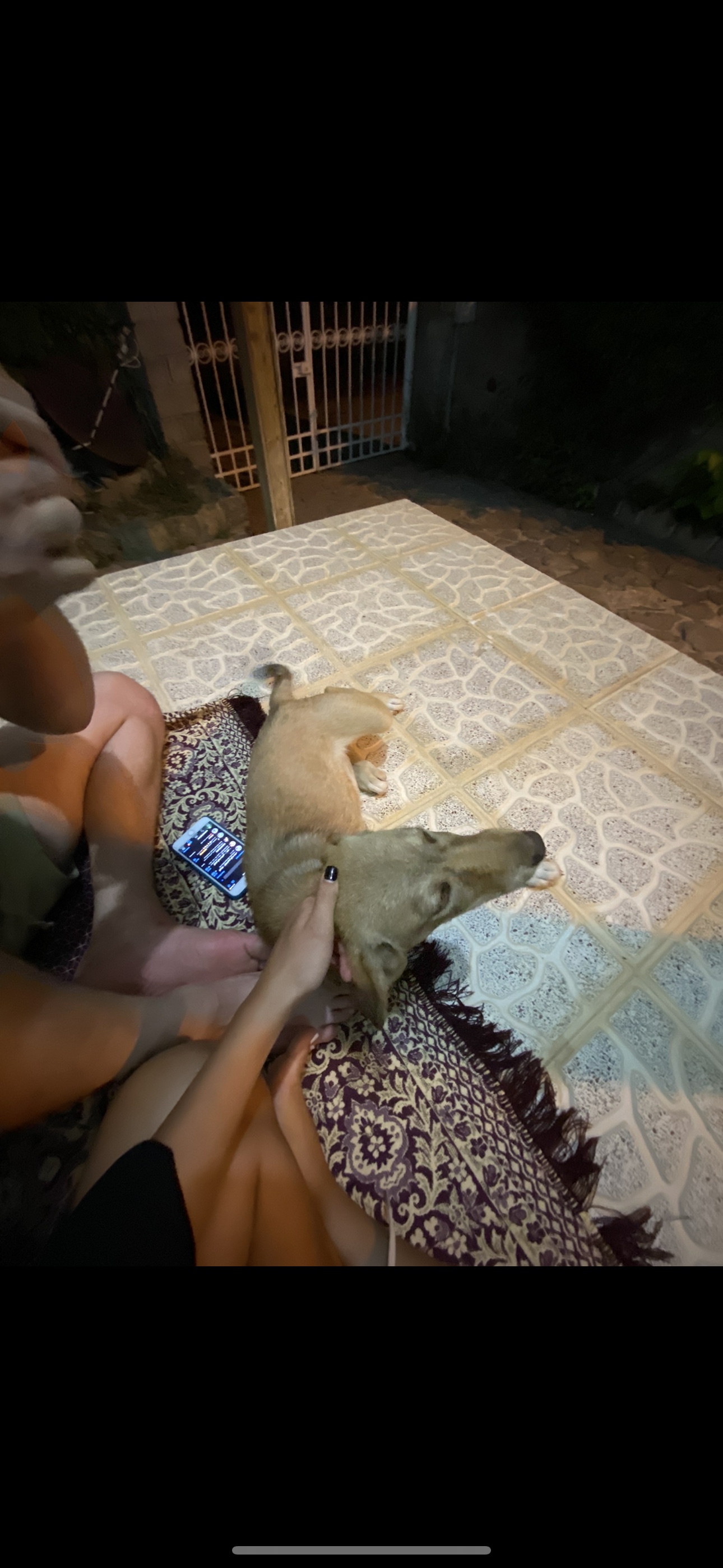 image-7