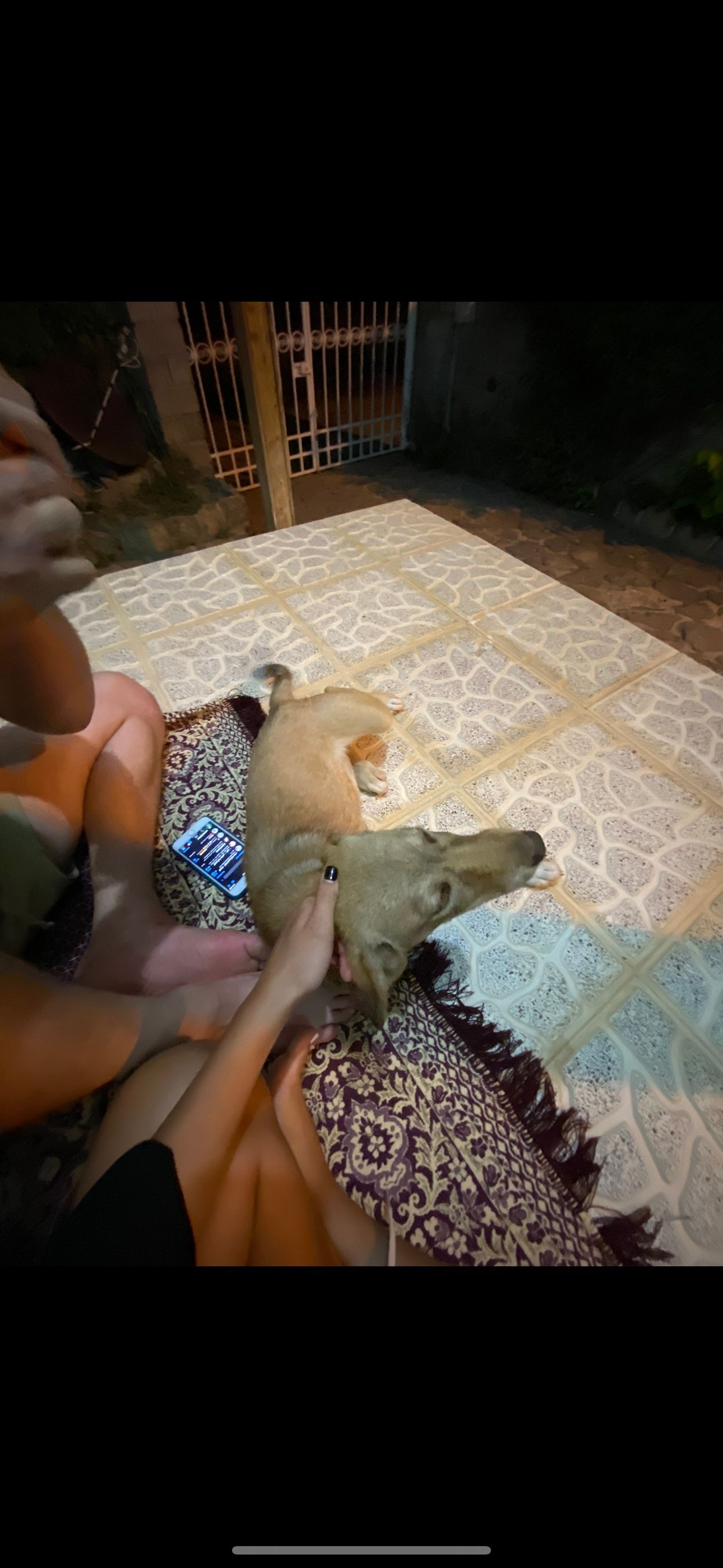 image-7