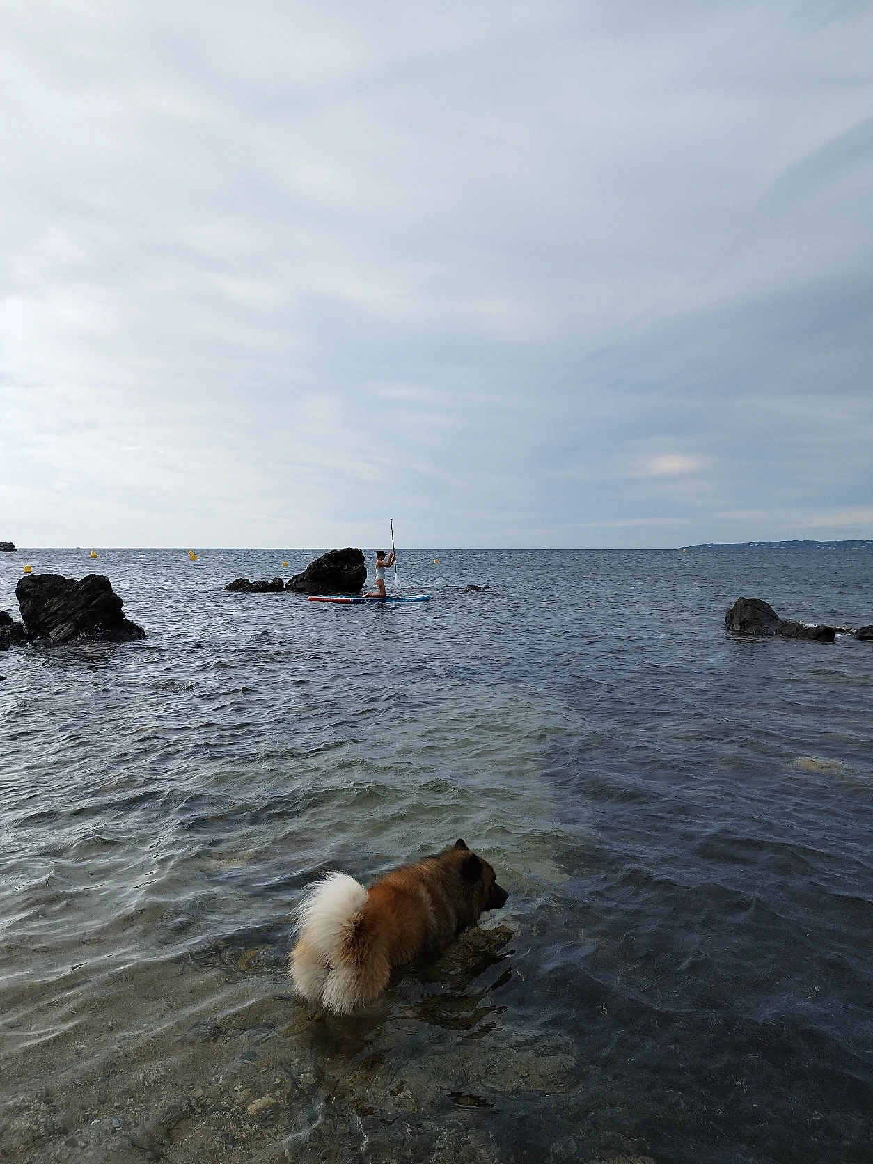 image-6