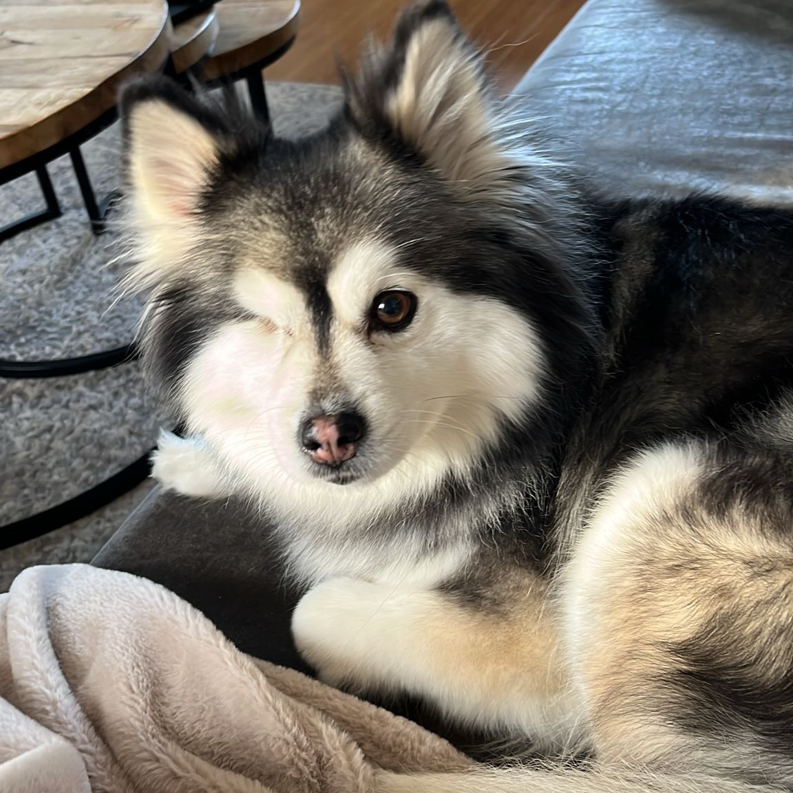 Lola