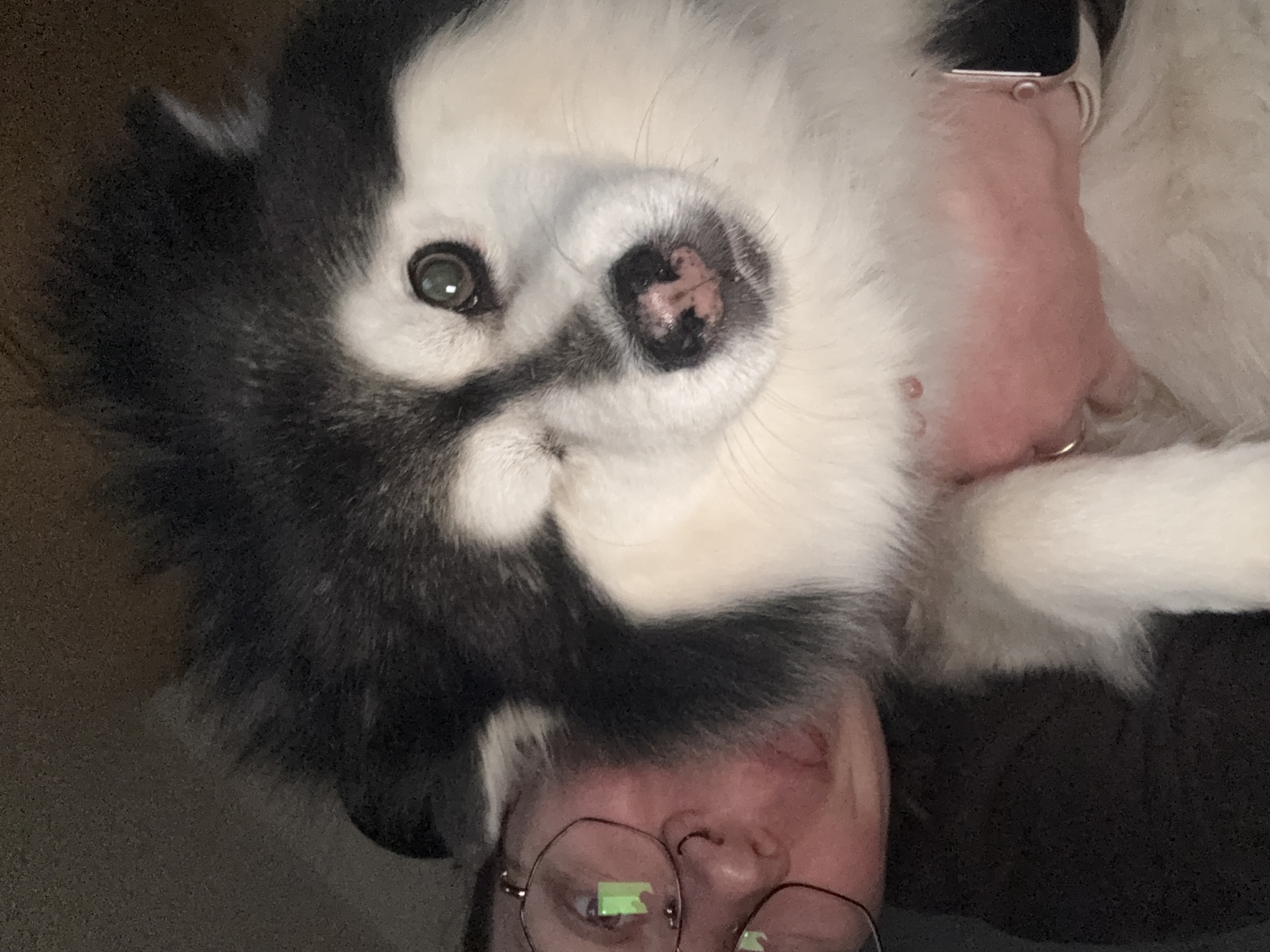 image-7