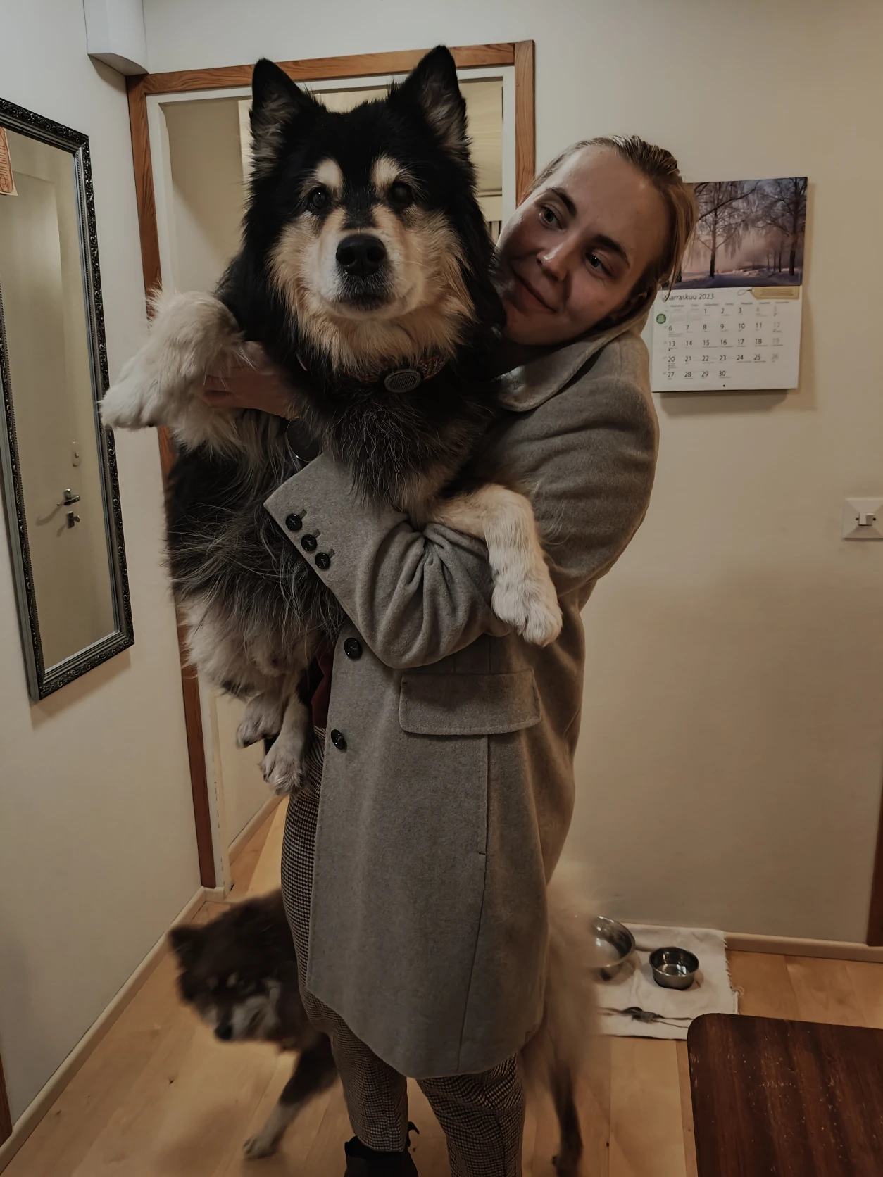 image-6
