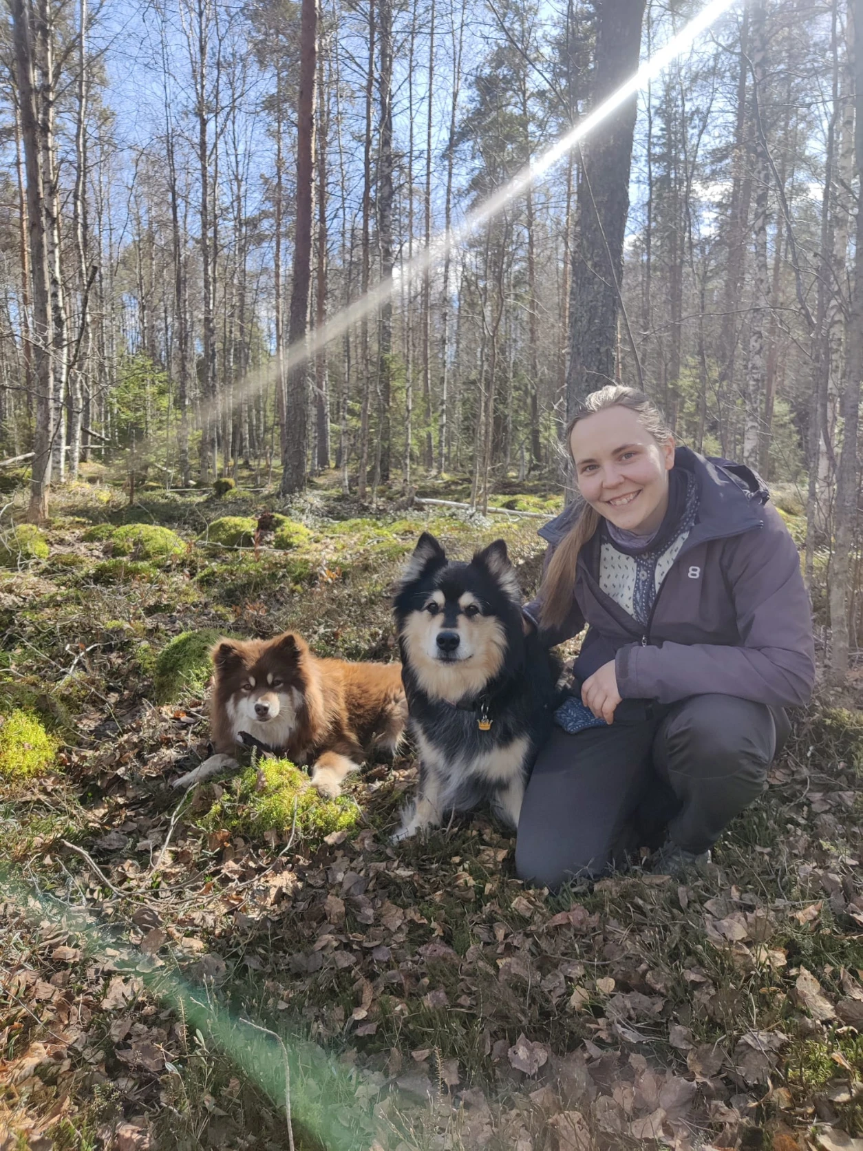 image-8