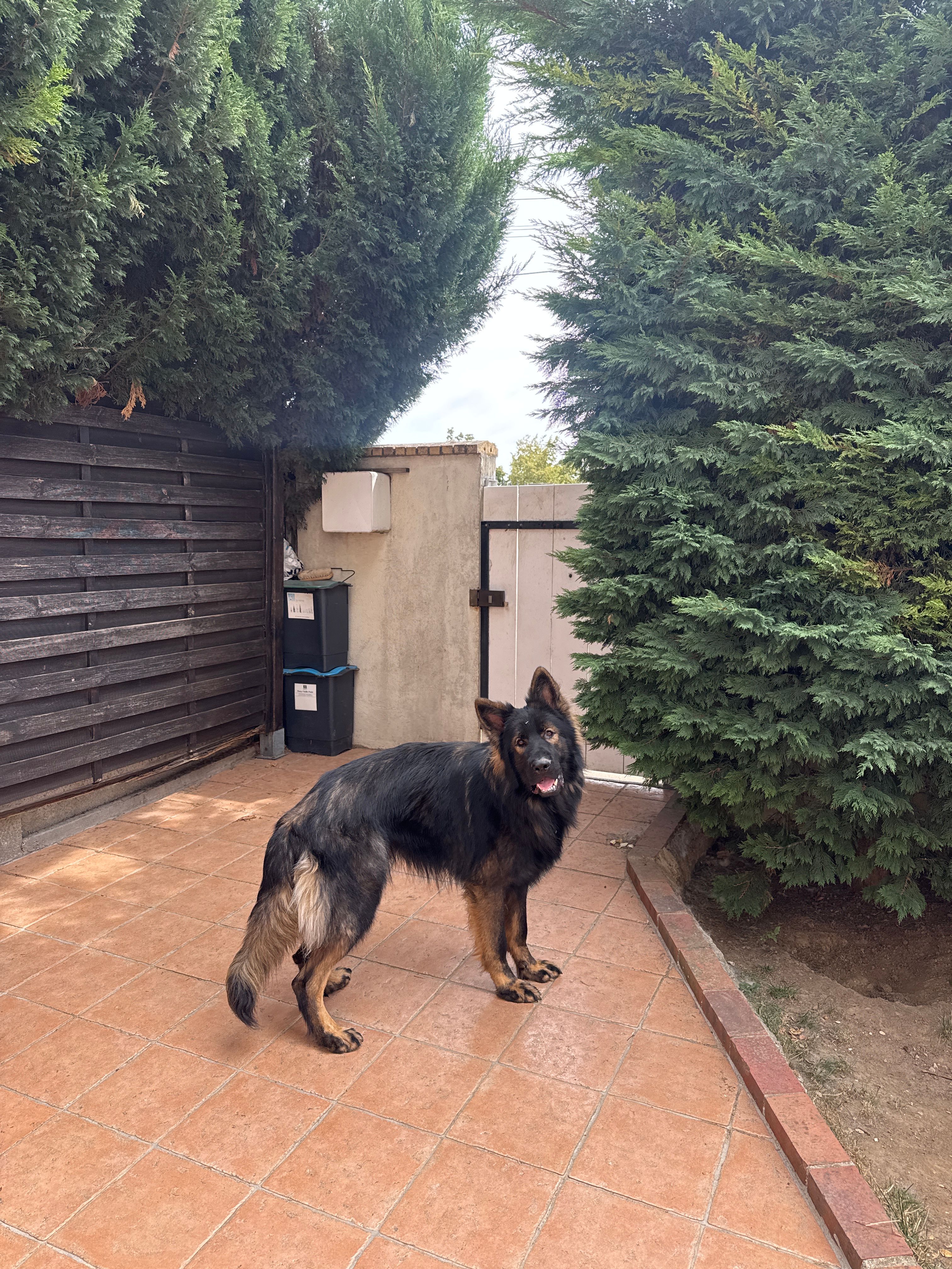image-11