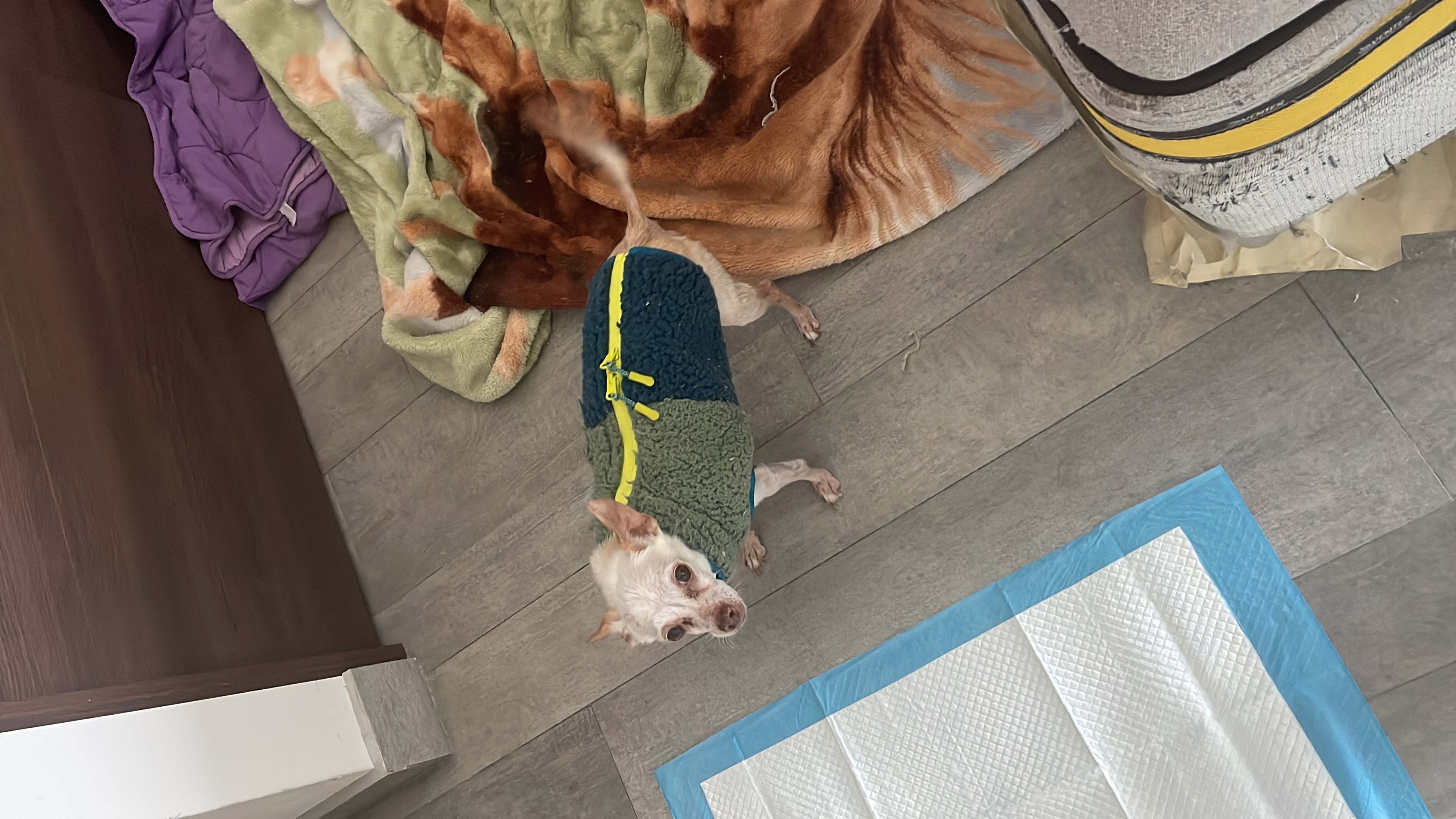 image-6