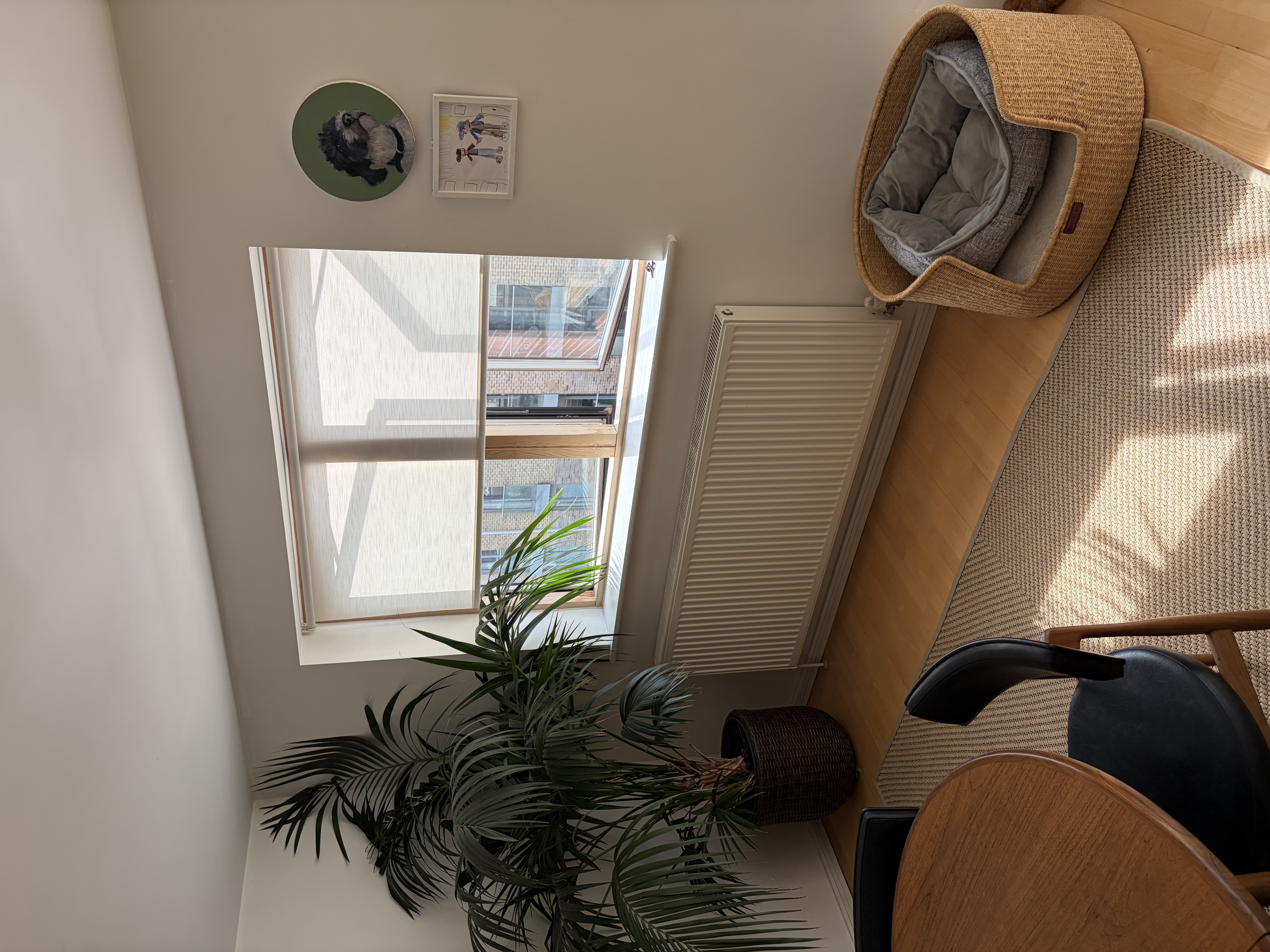 image-17