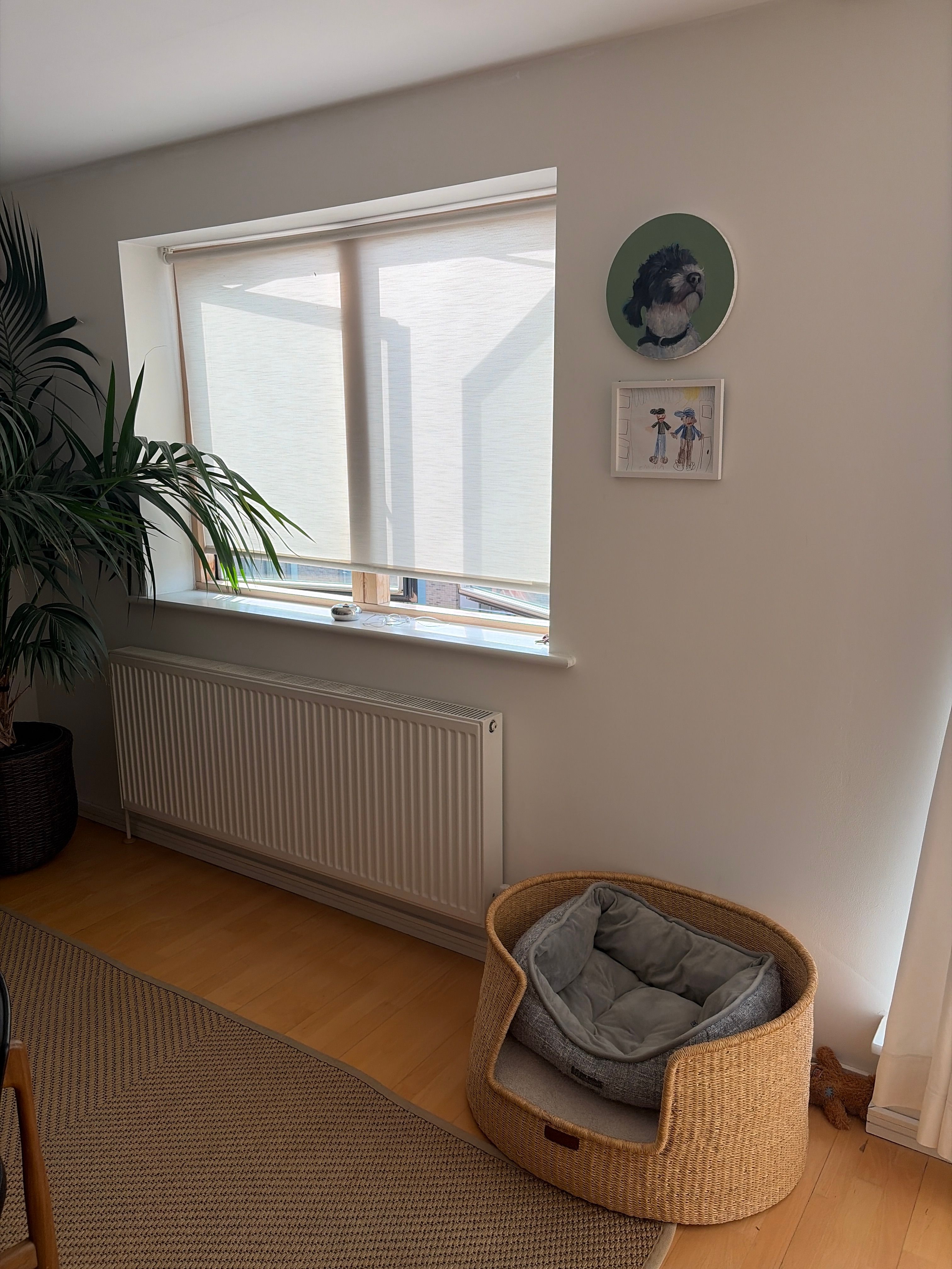 image-14