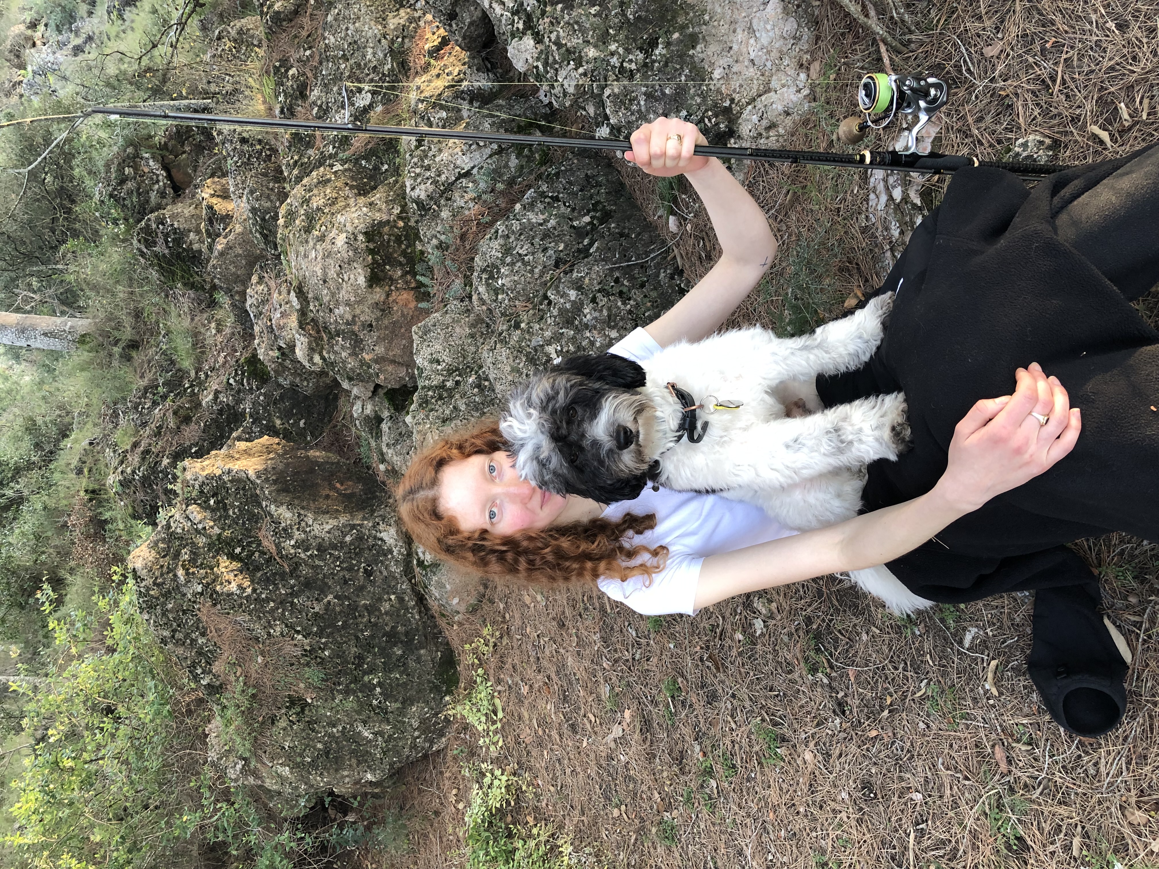 image-6