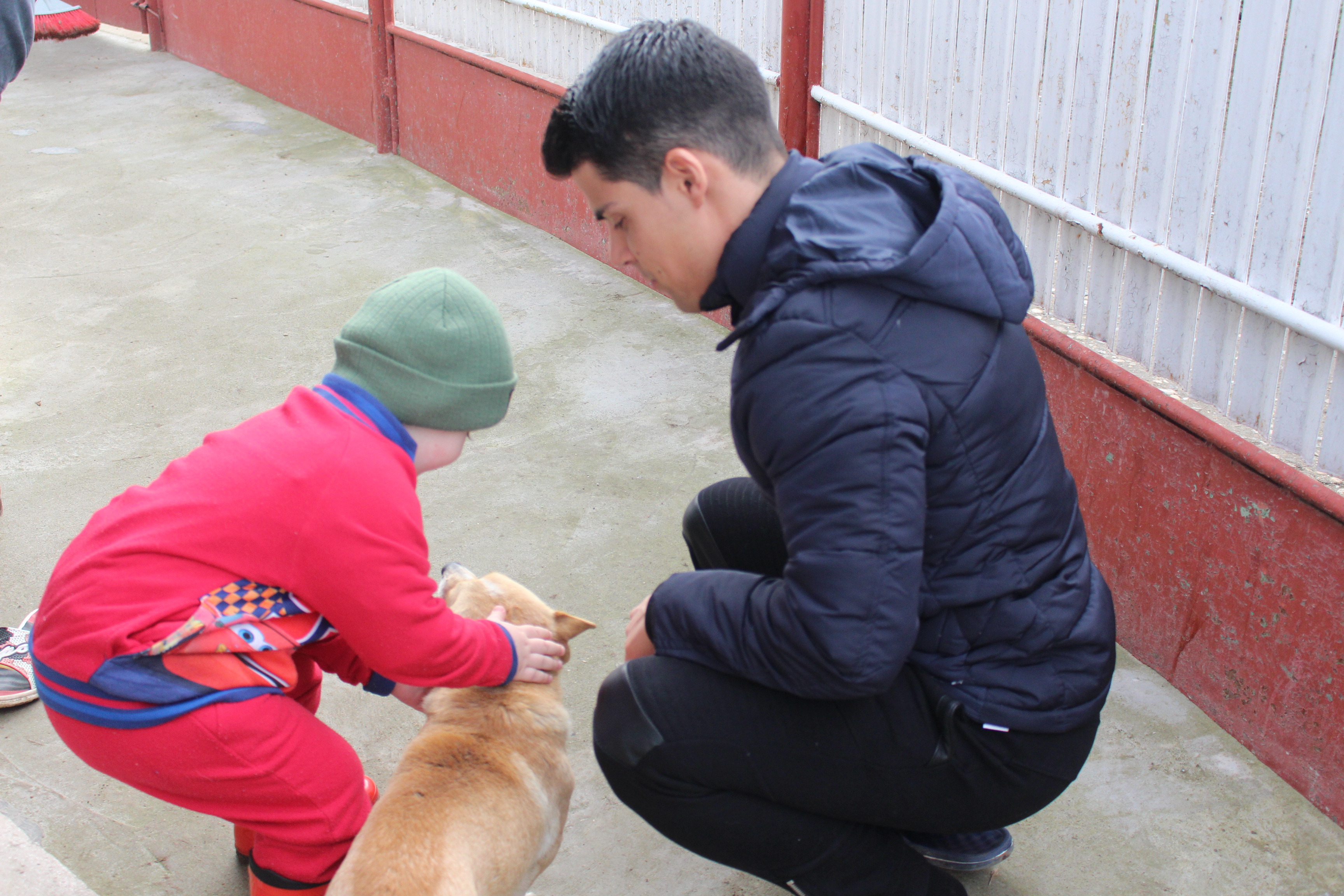 image-5
