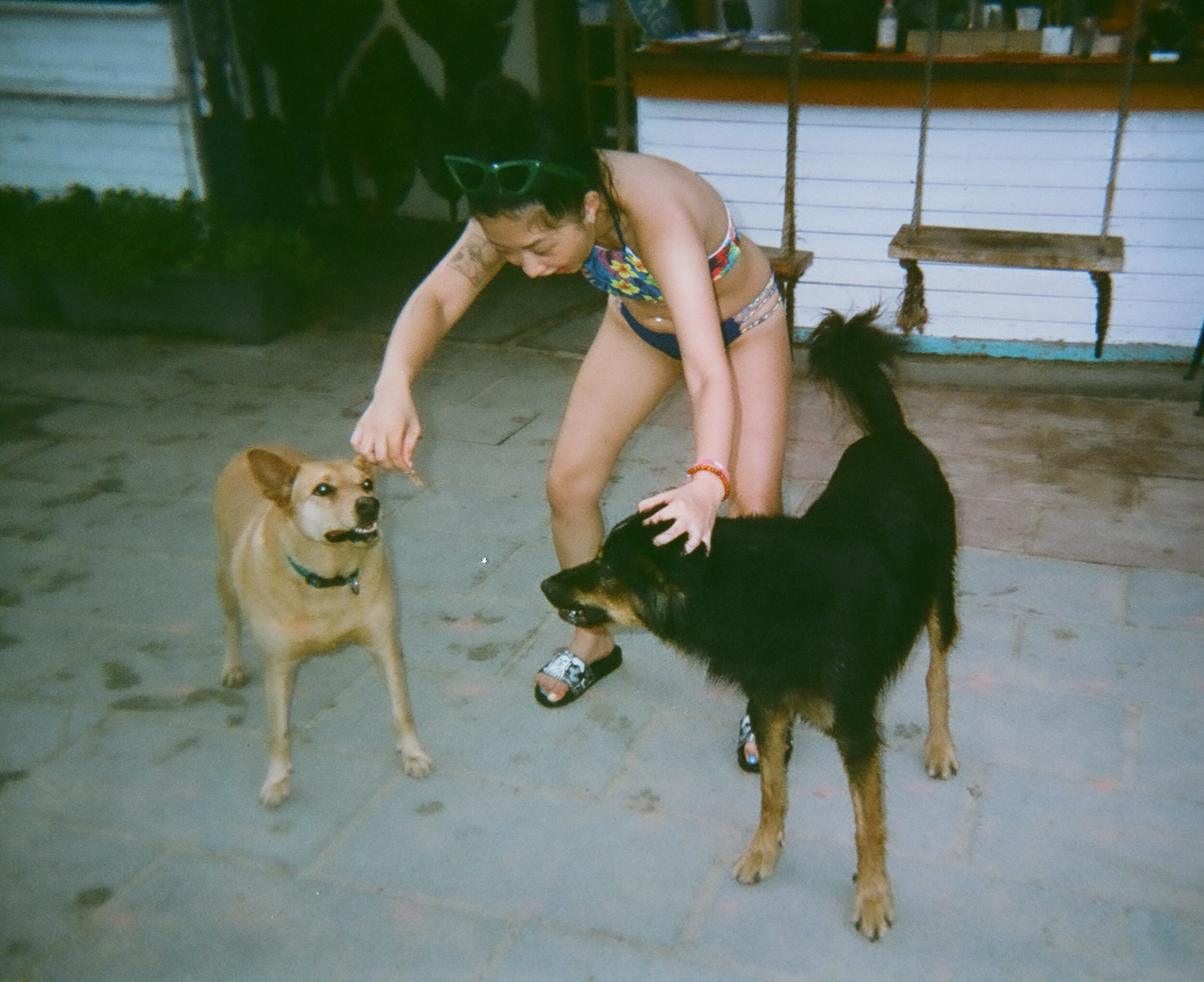 image-3