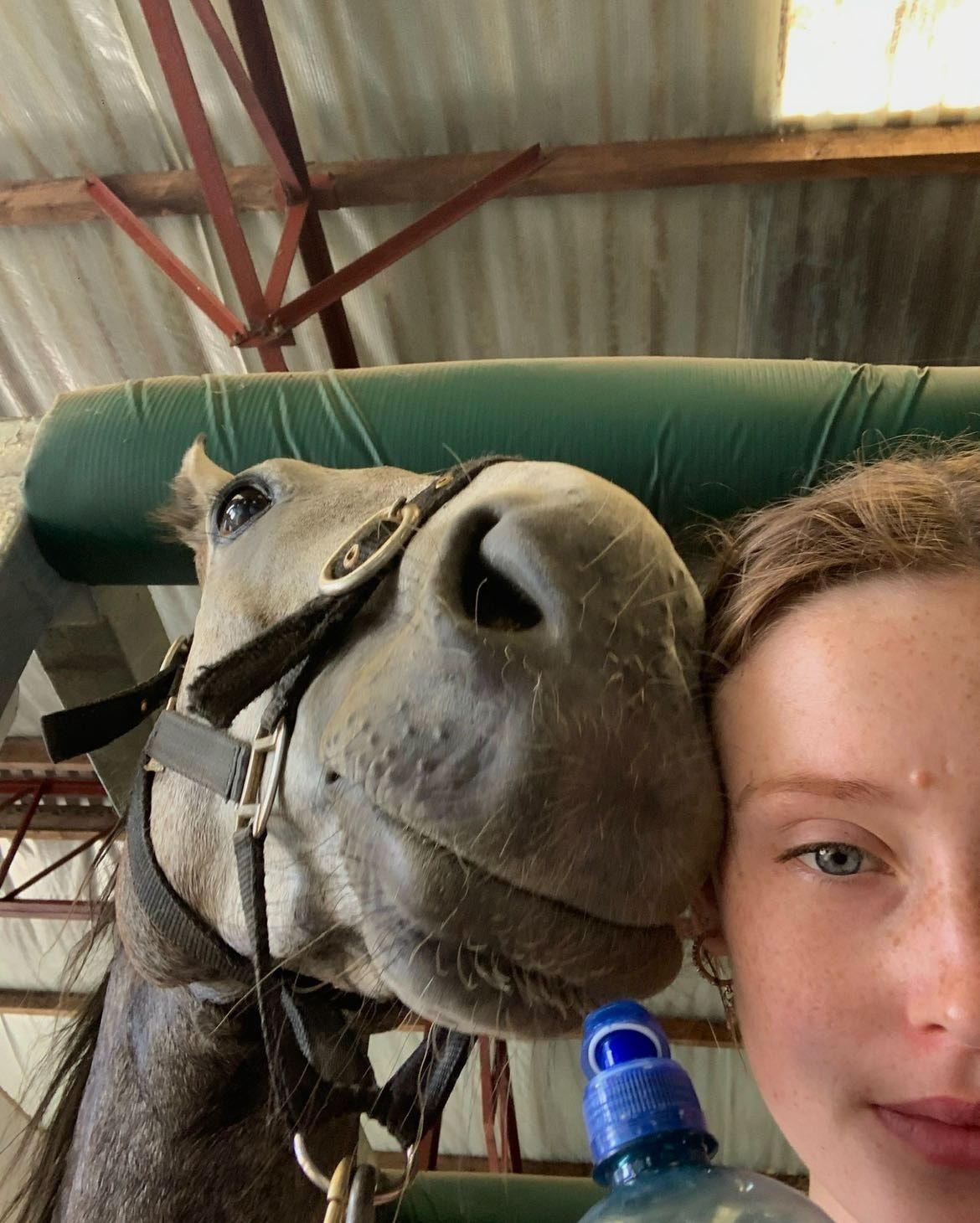 image-10