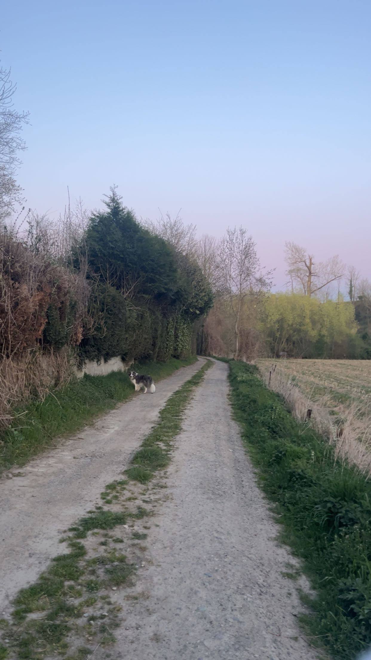 image-18