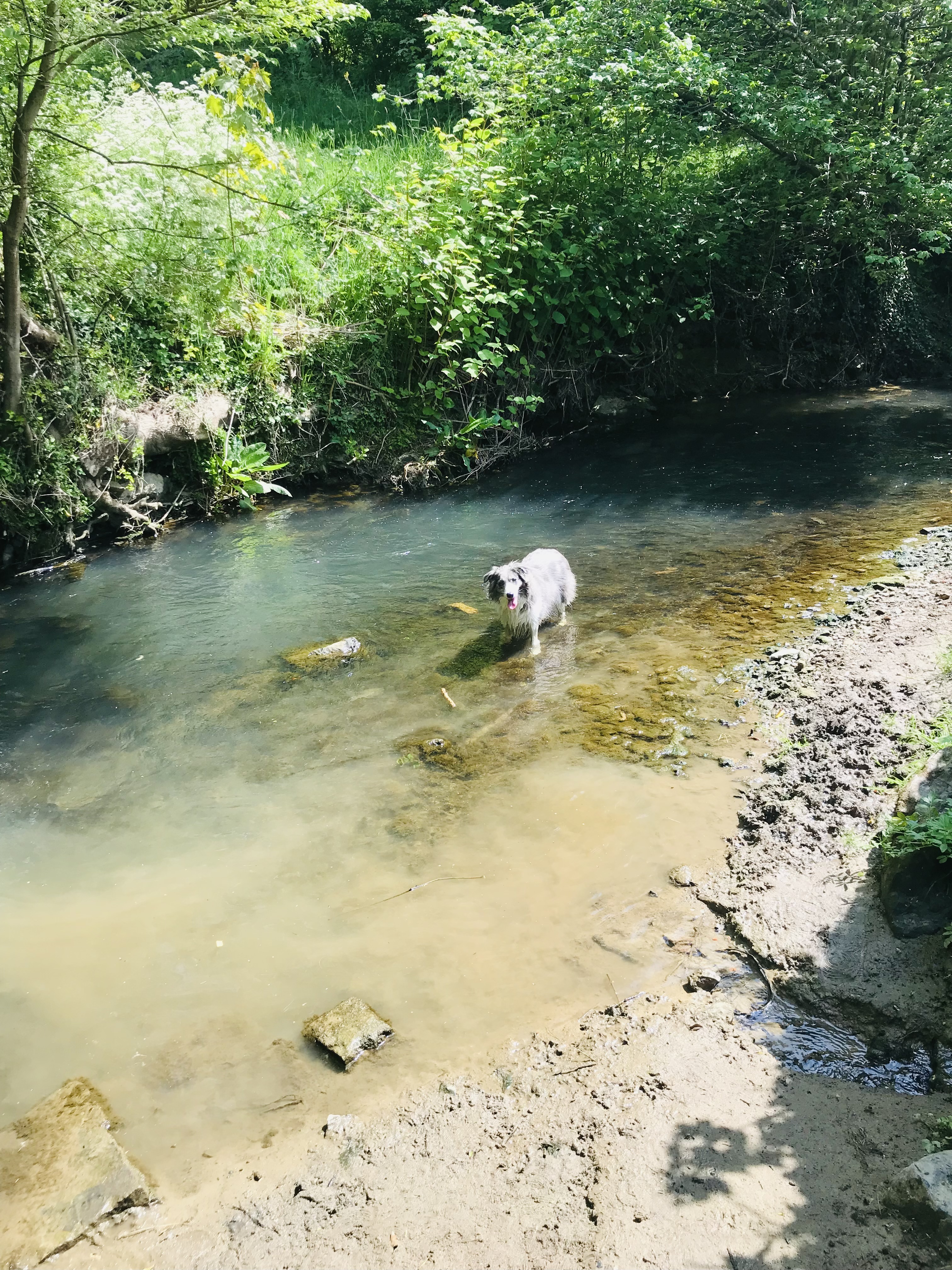 image-5
