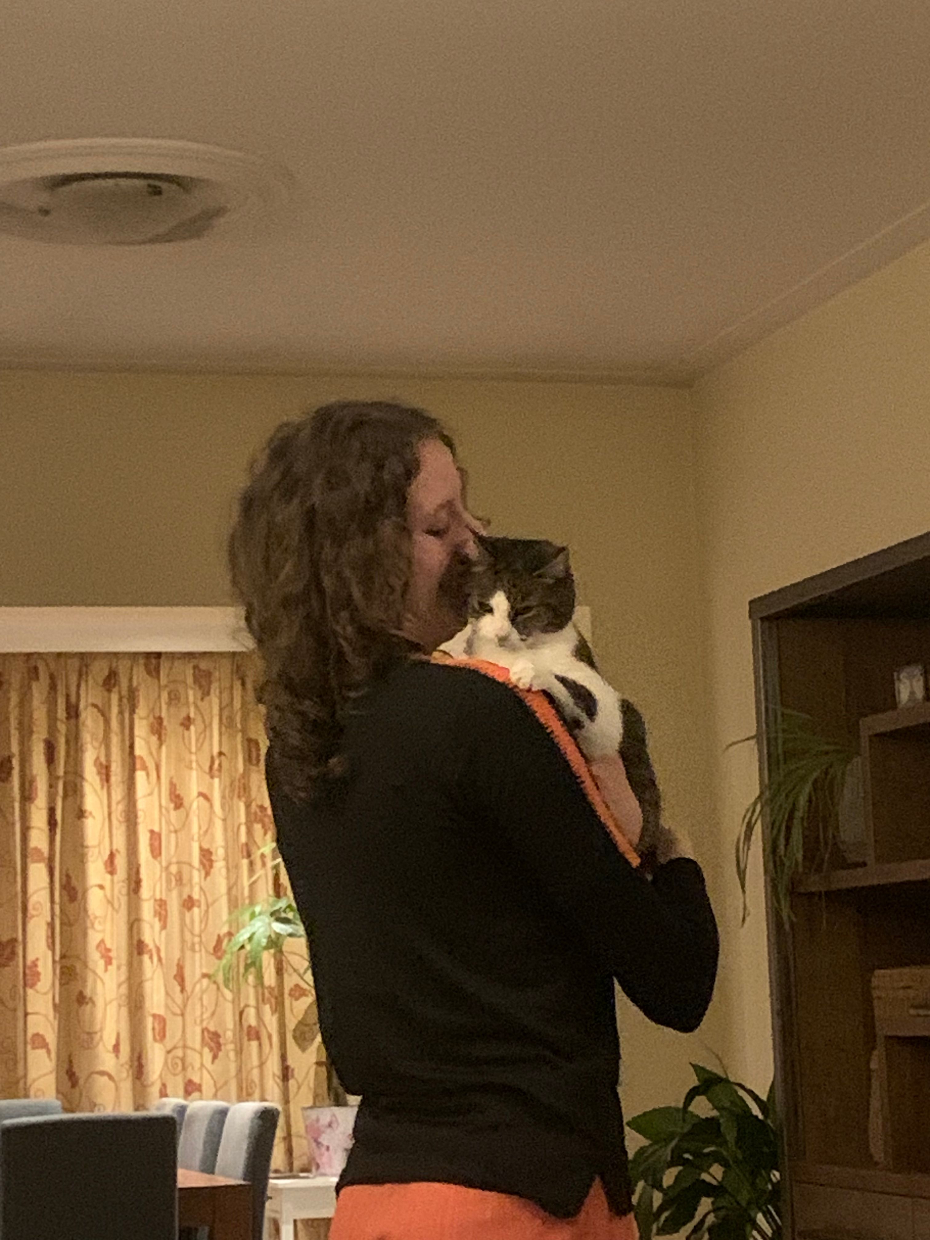 image-12