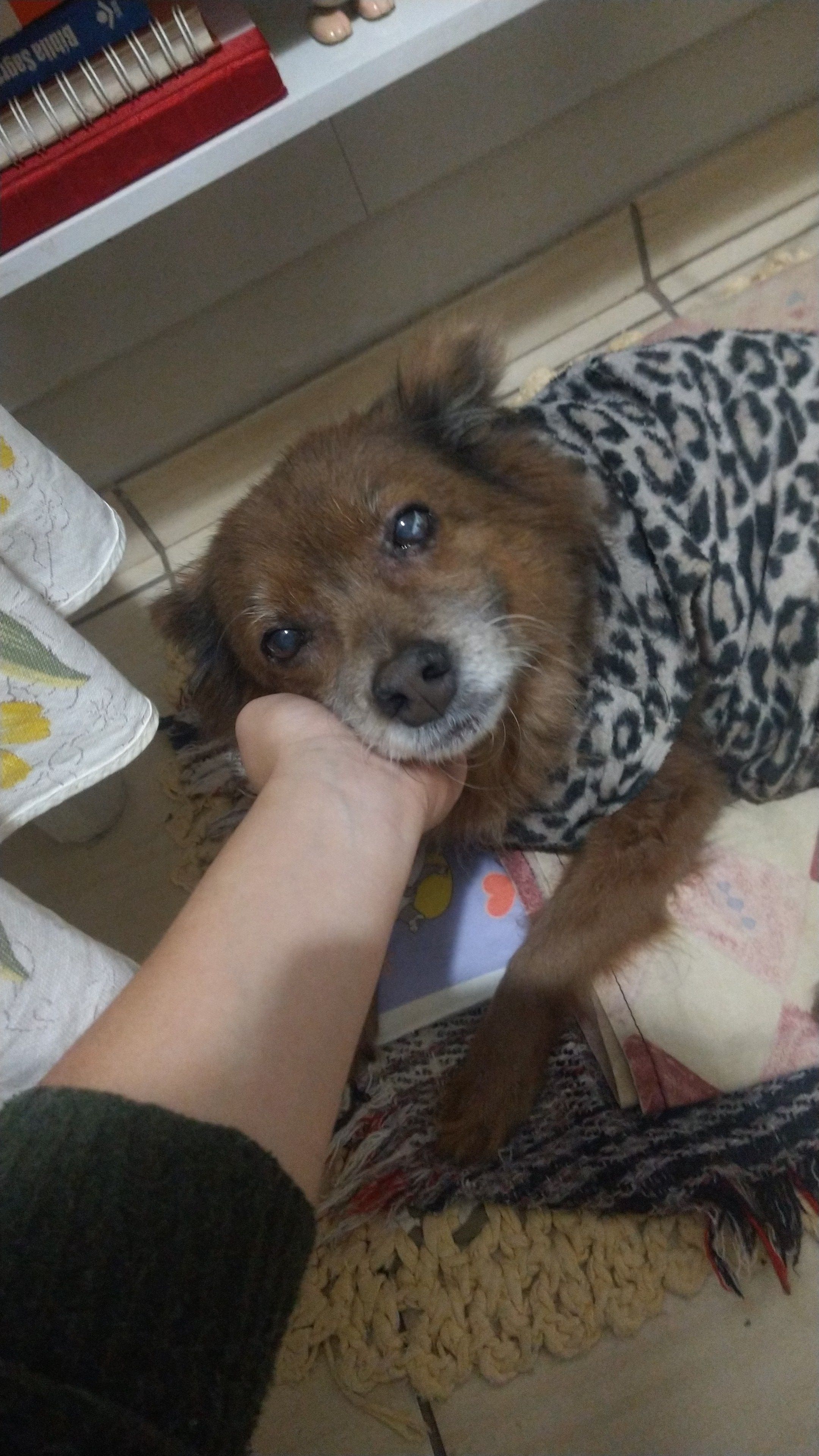image-11