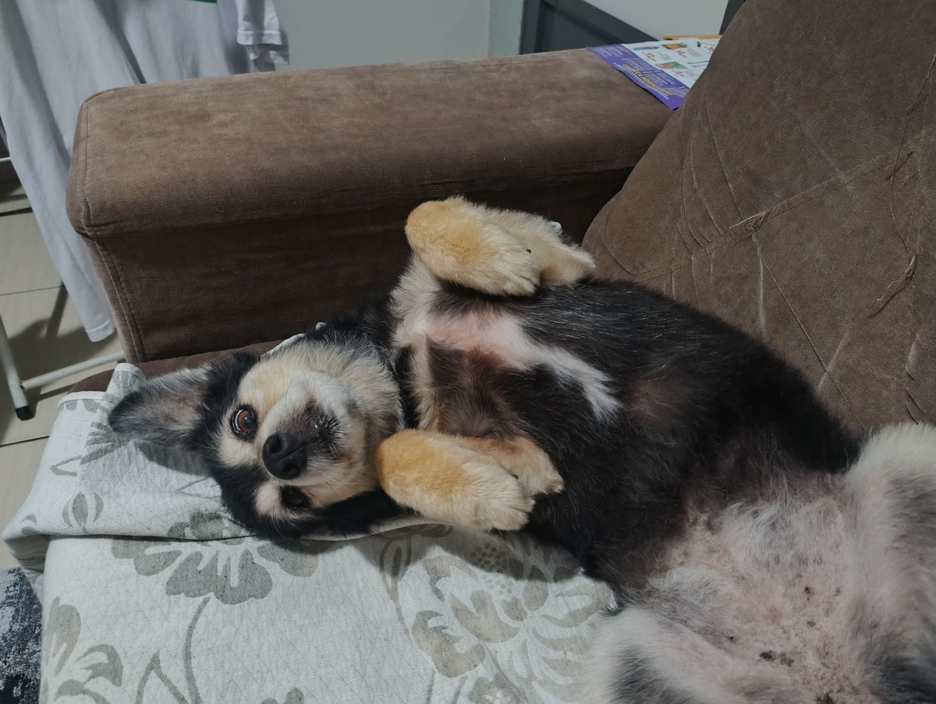 image-9