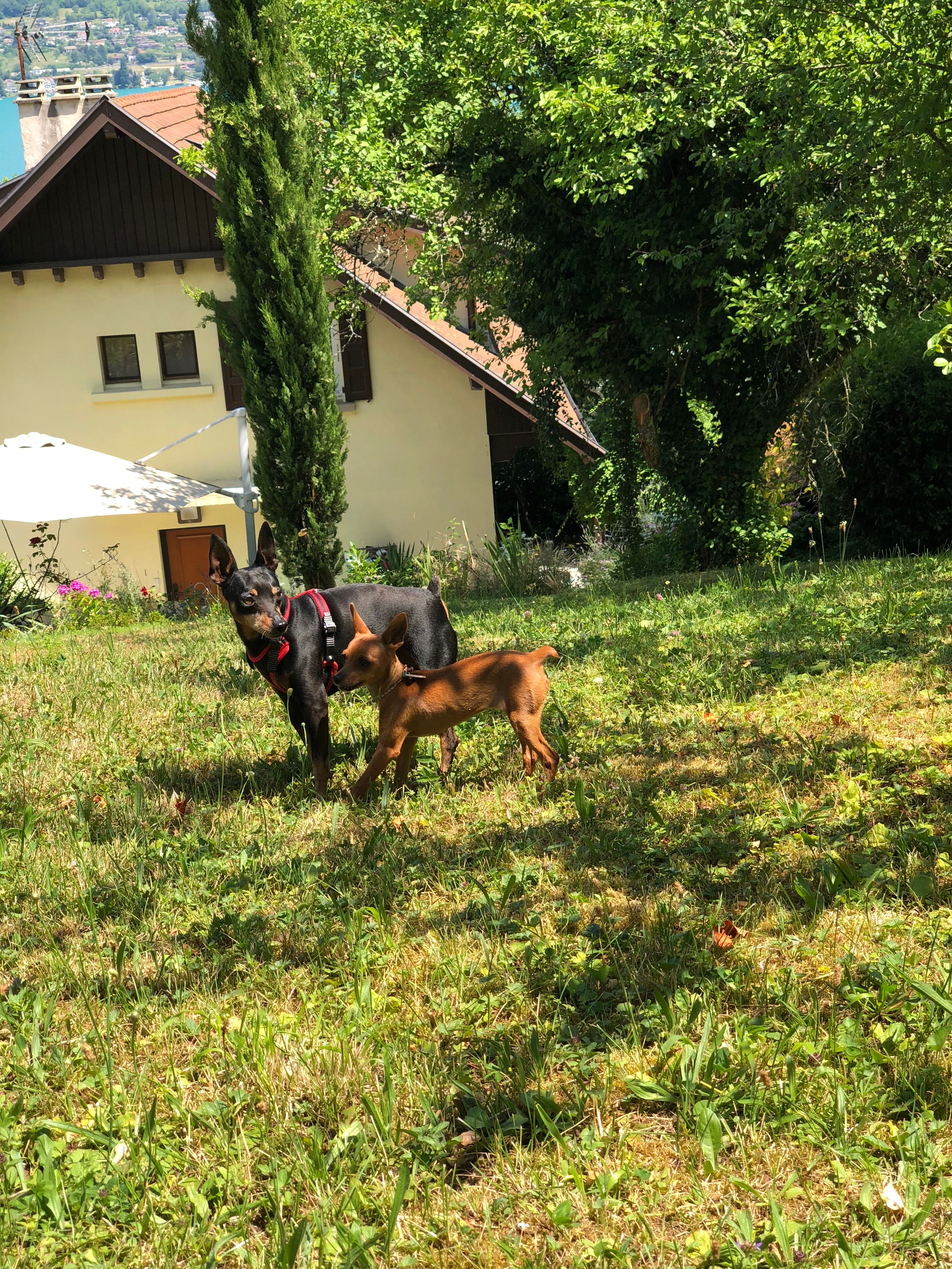 image-5