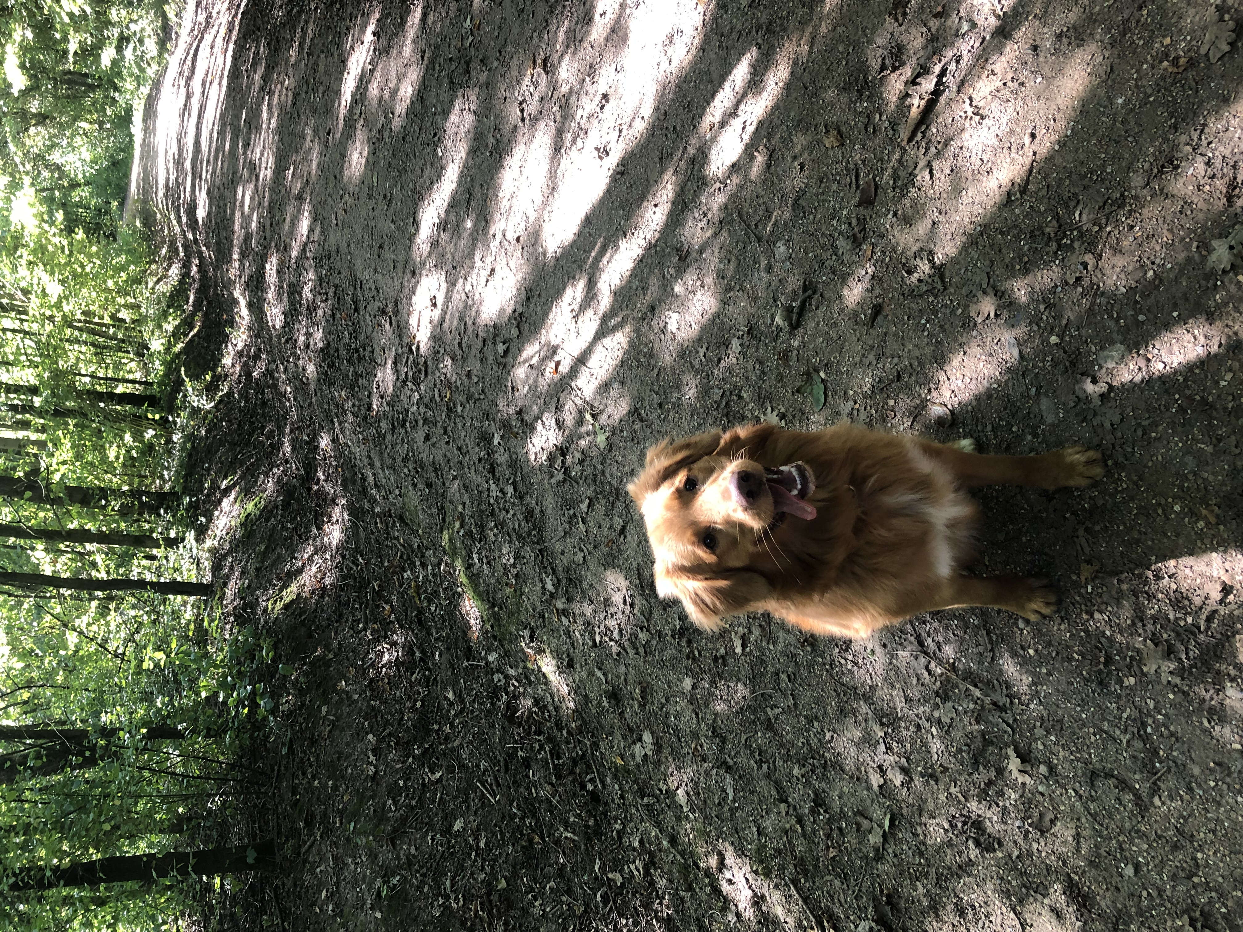 image-5