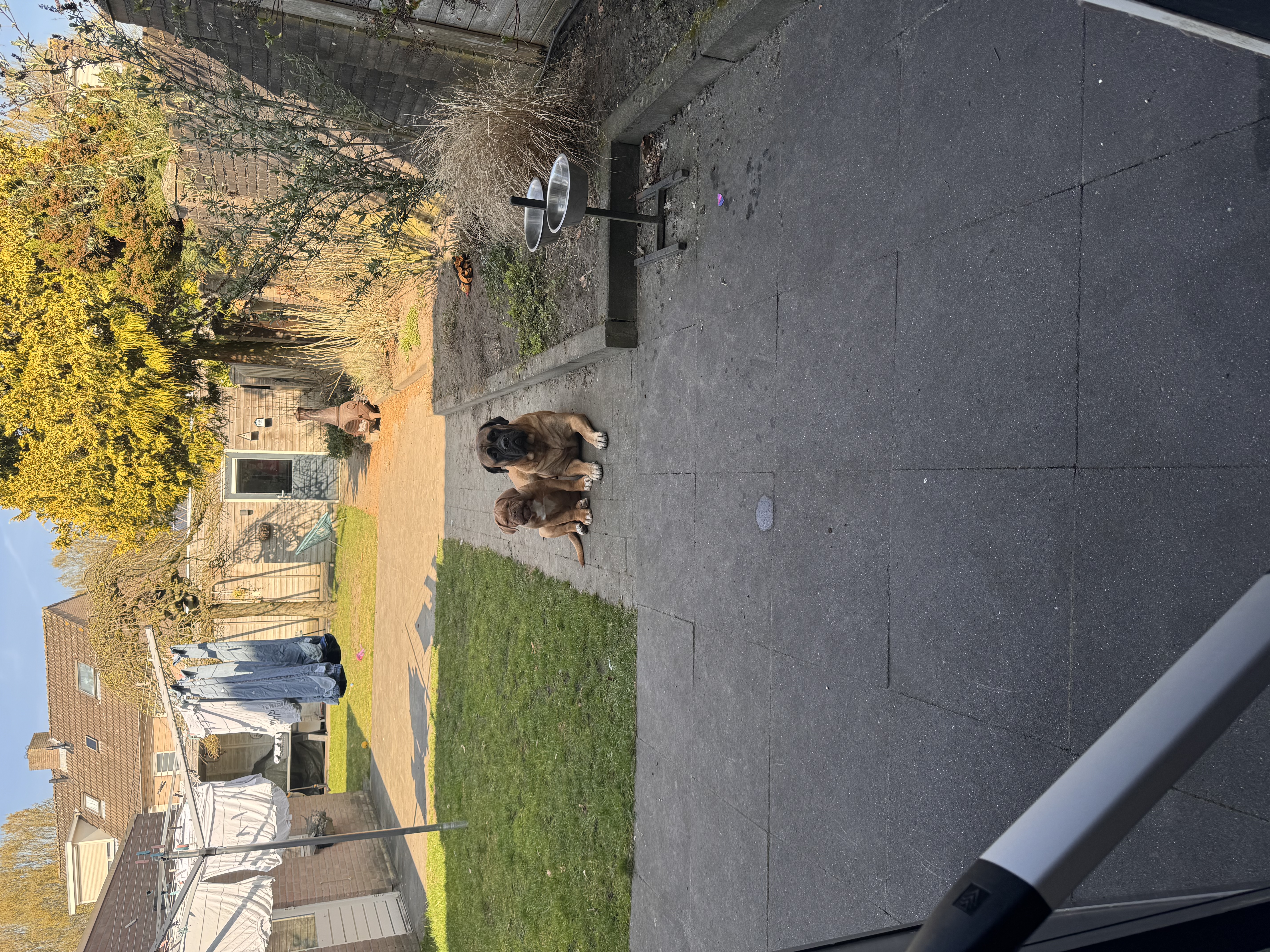 image-9
