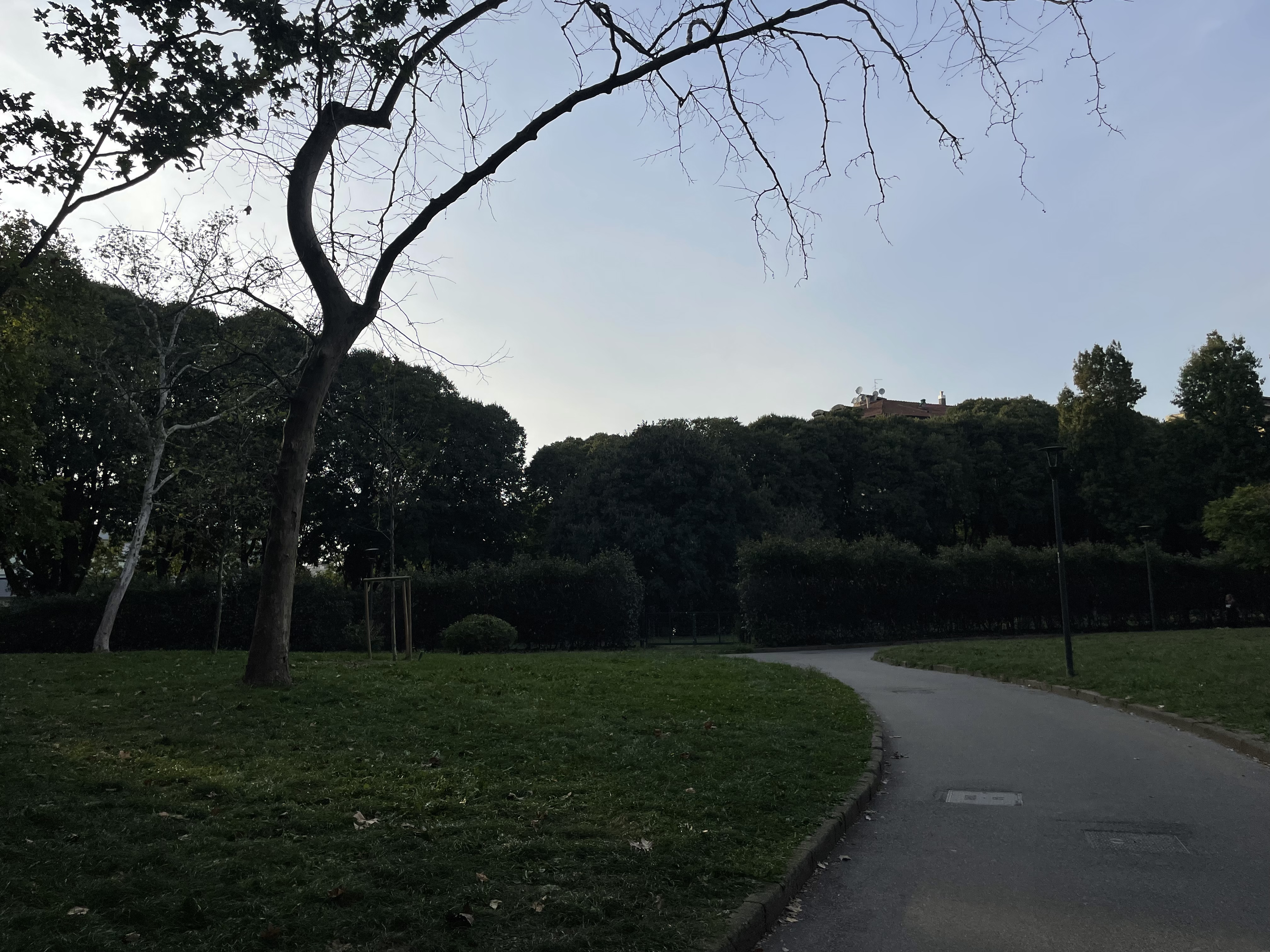 image-13