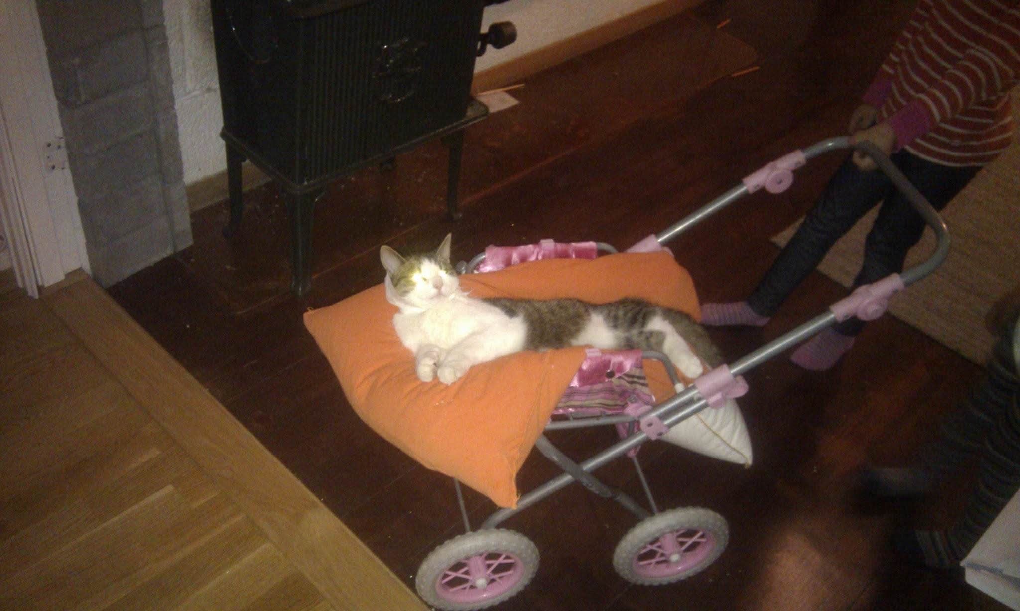 image-5