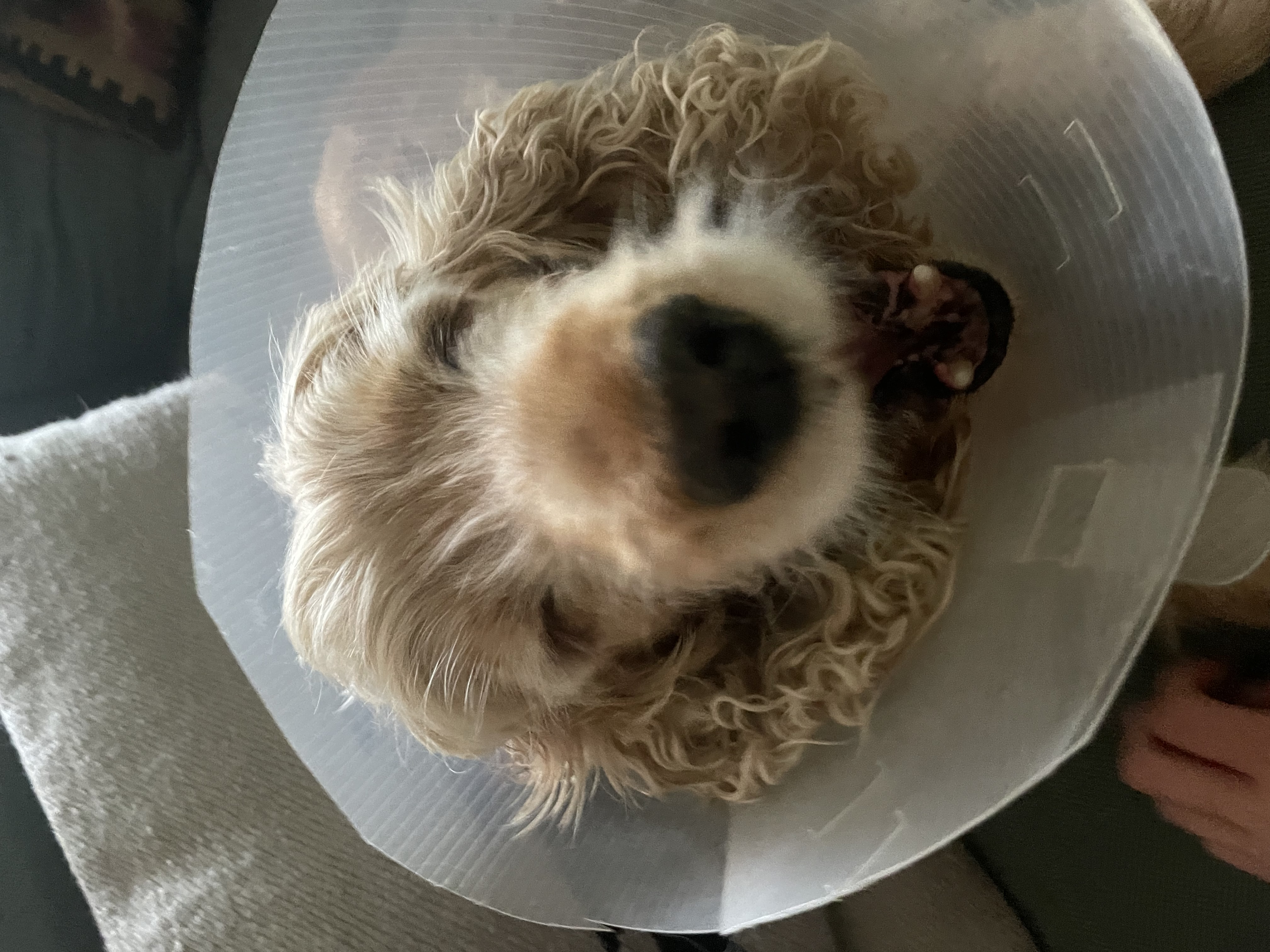 image-7