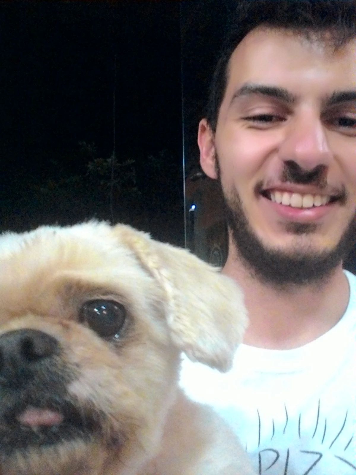 image-8