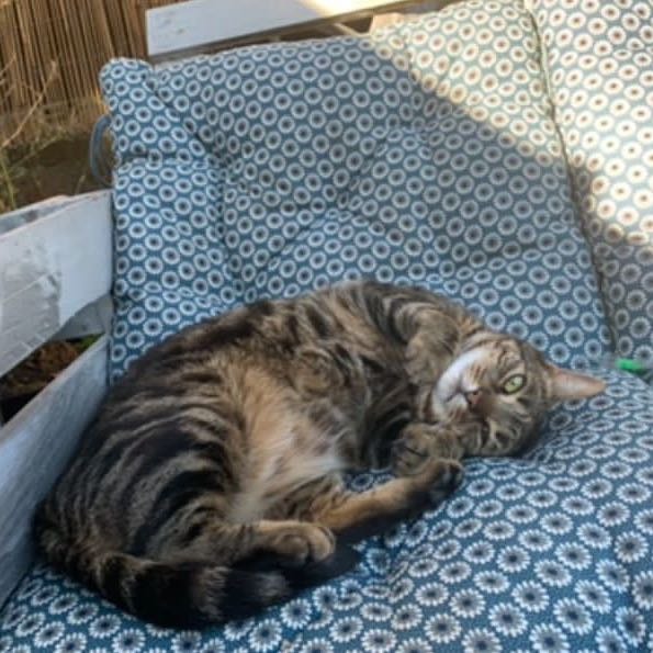 Howard