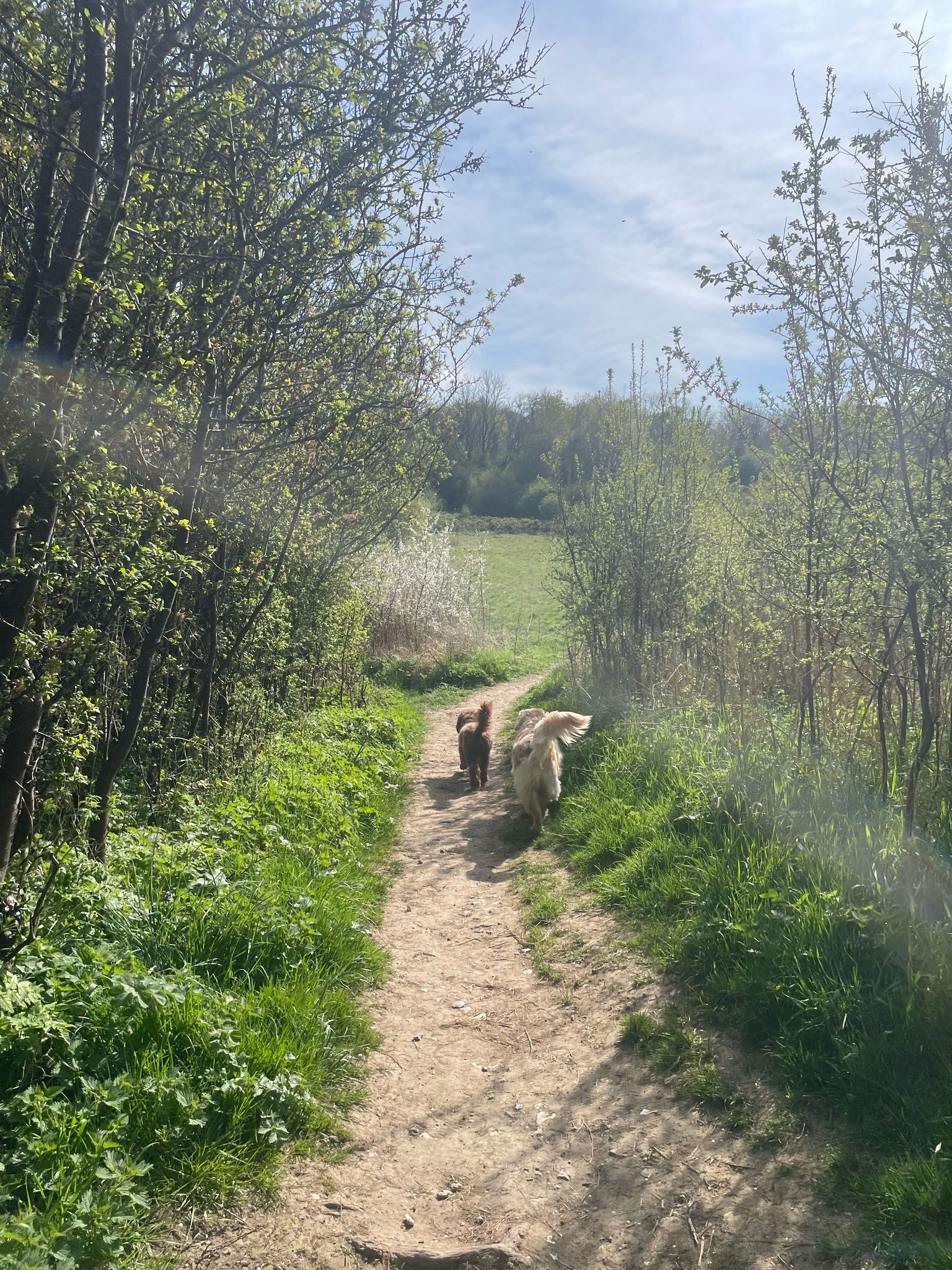 image-28
