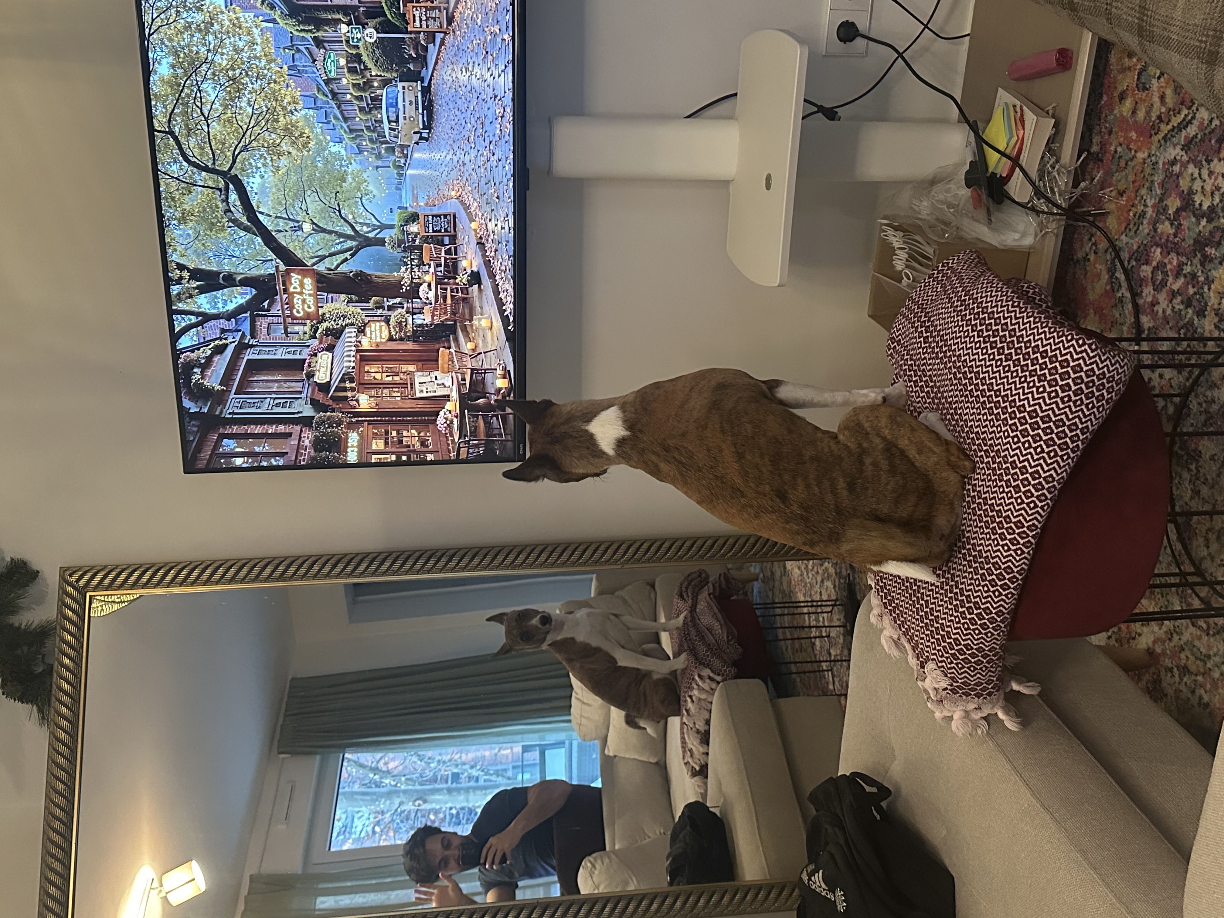 image-7