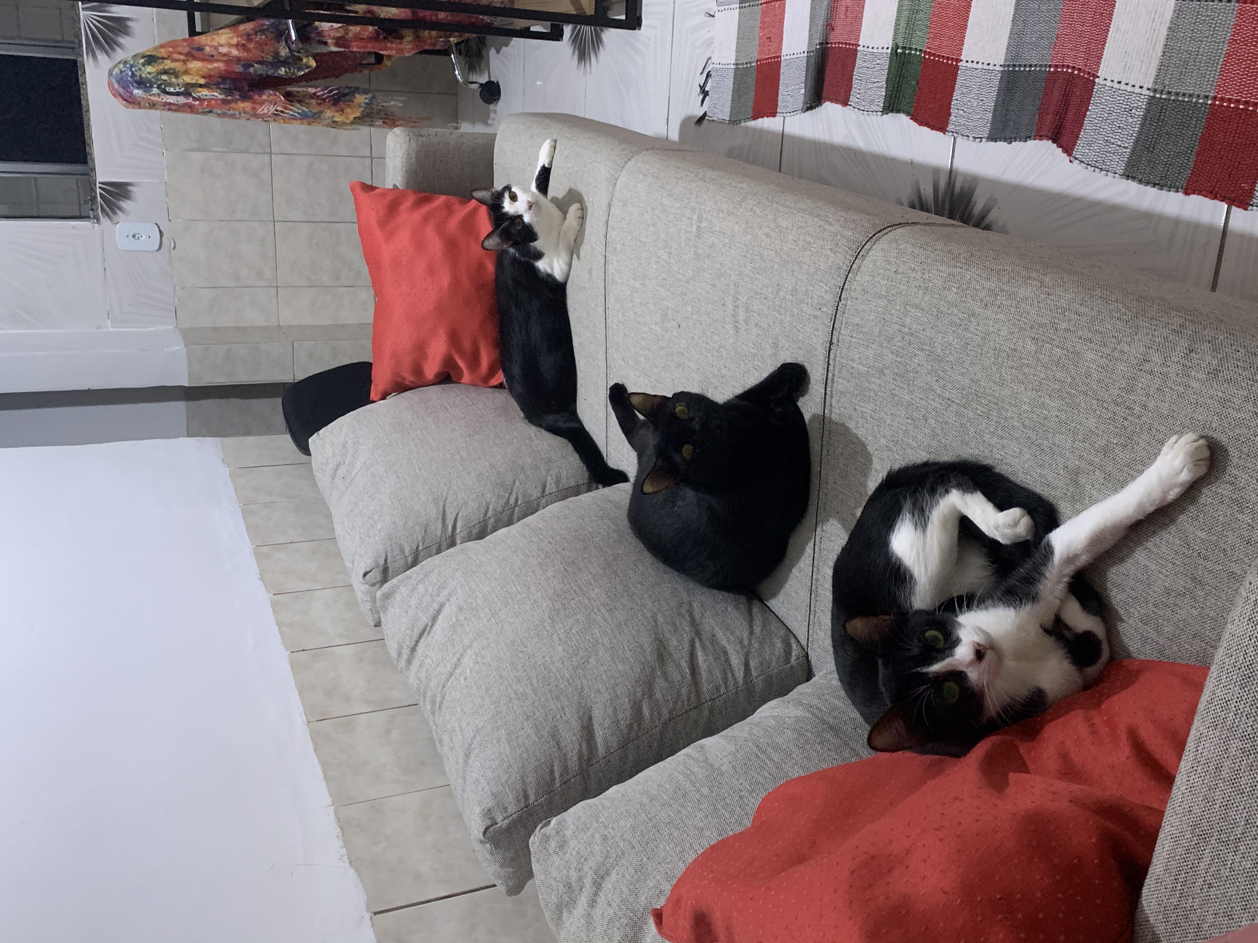 image-8