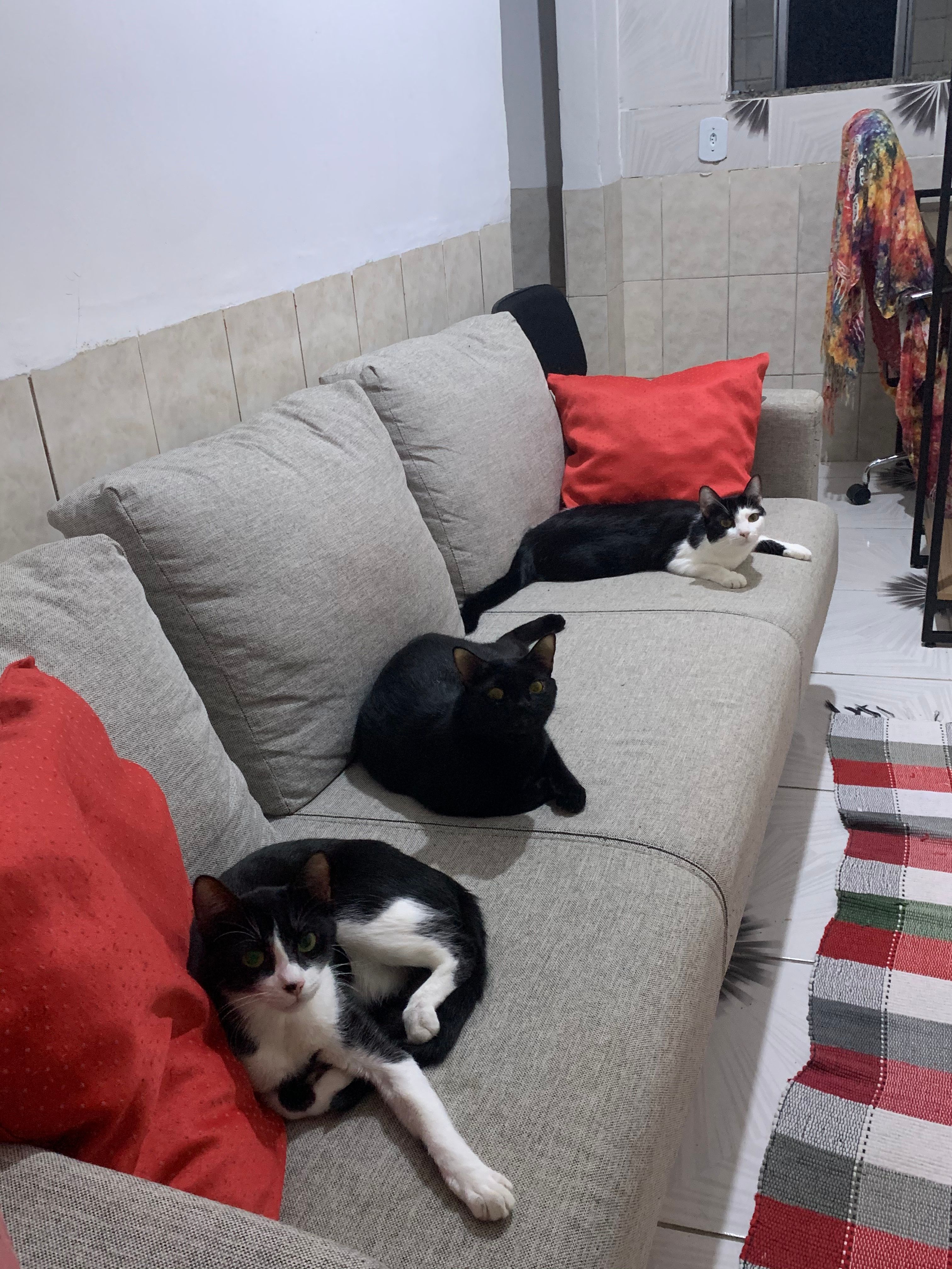 image-8
