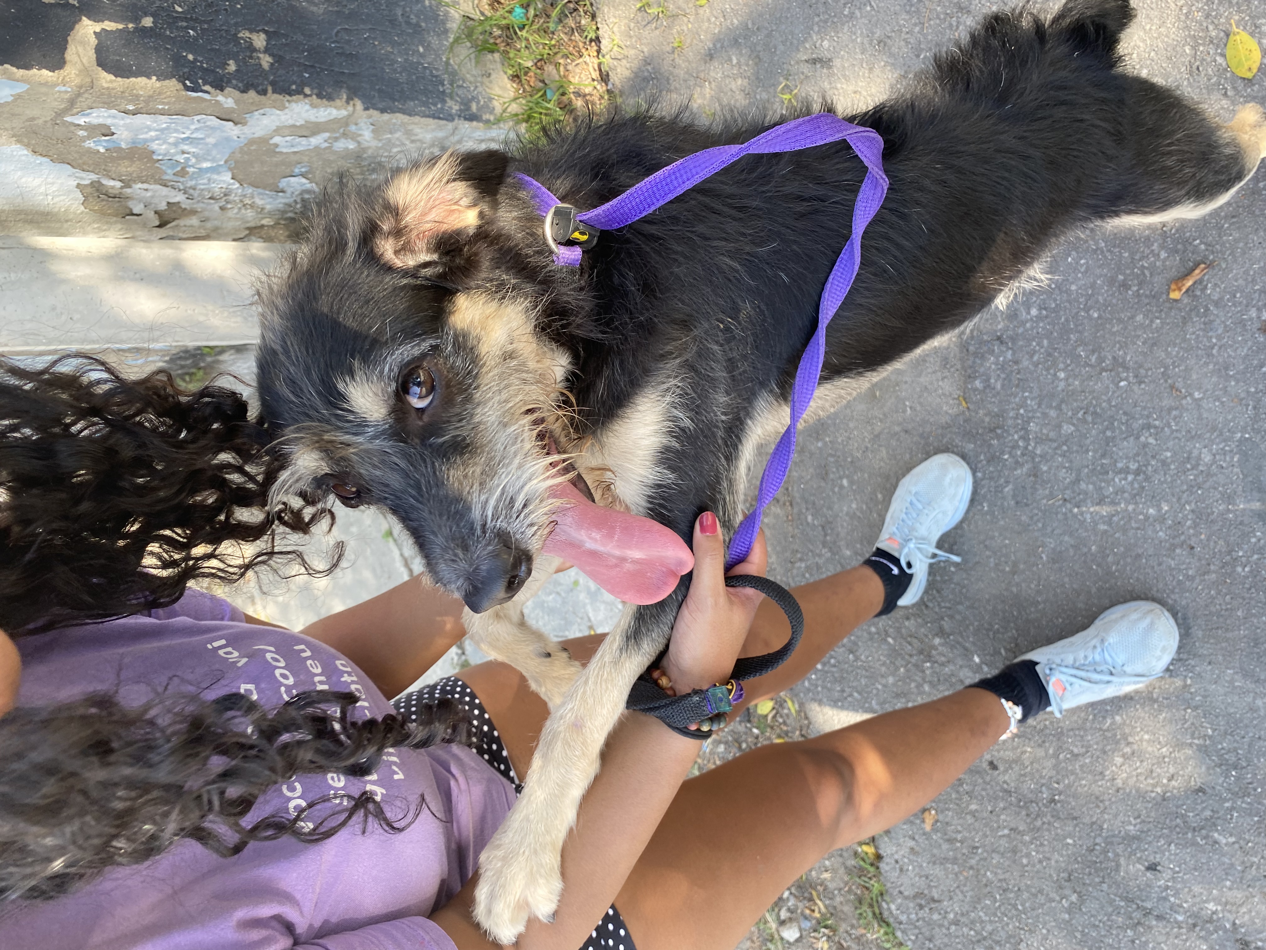 image-10