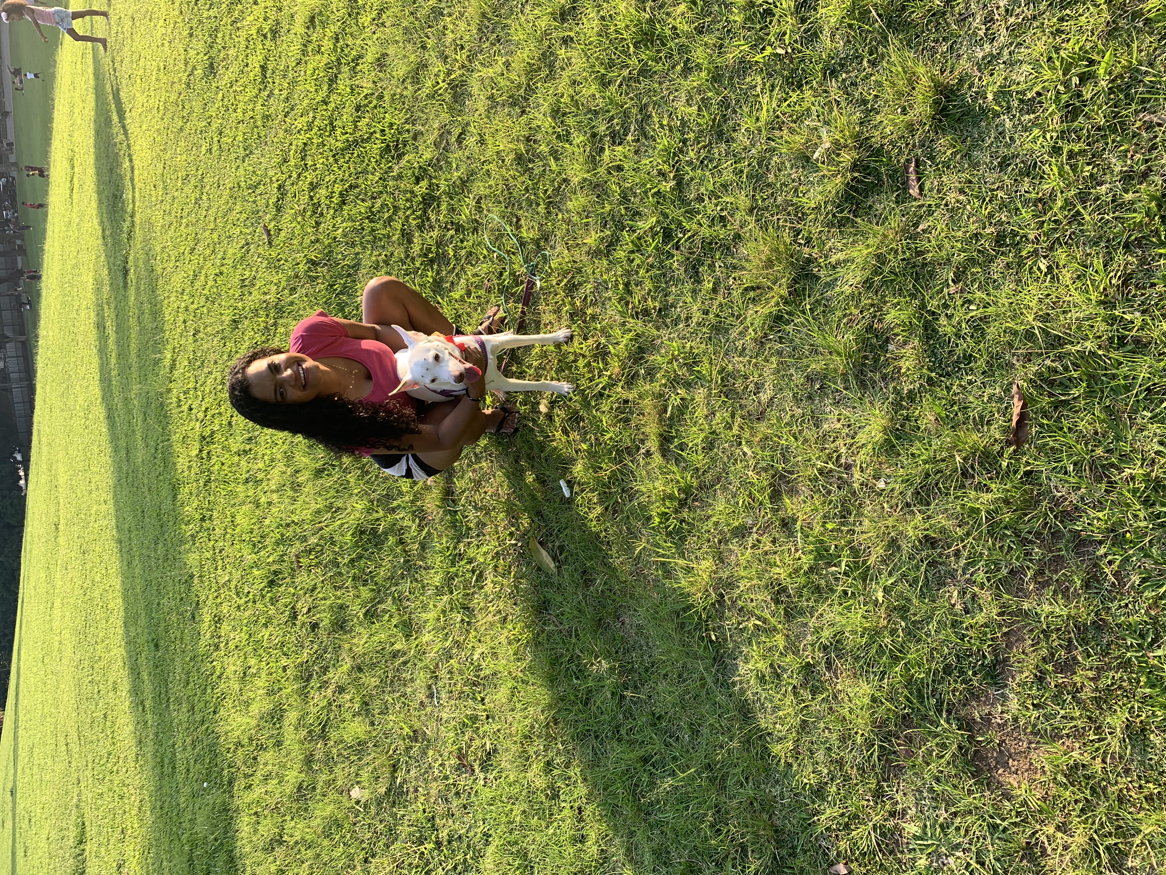 image-4