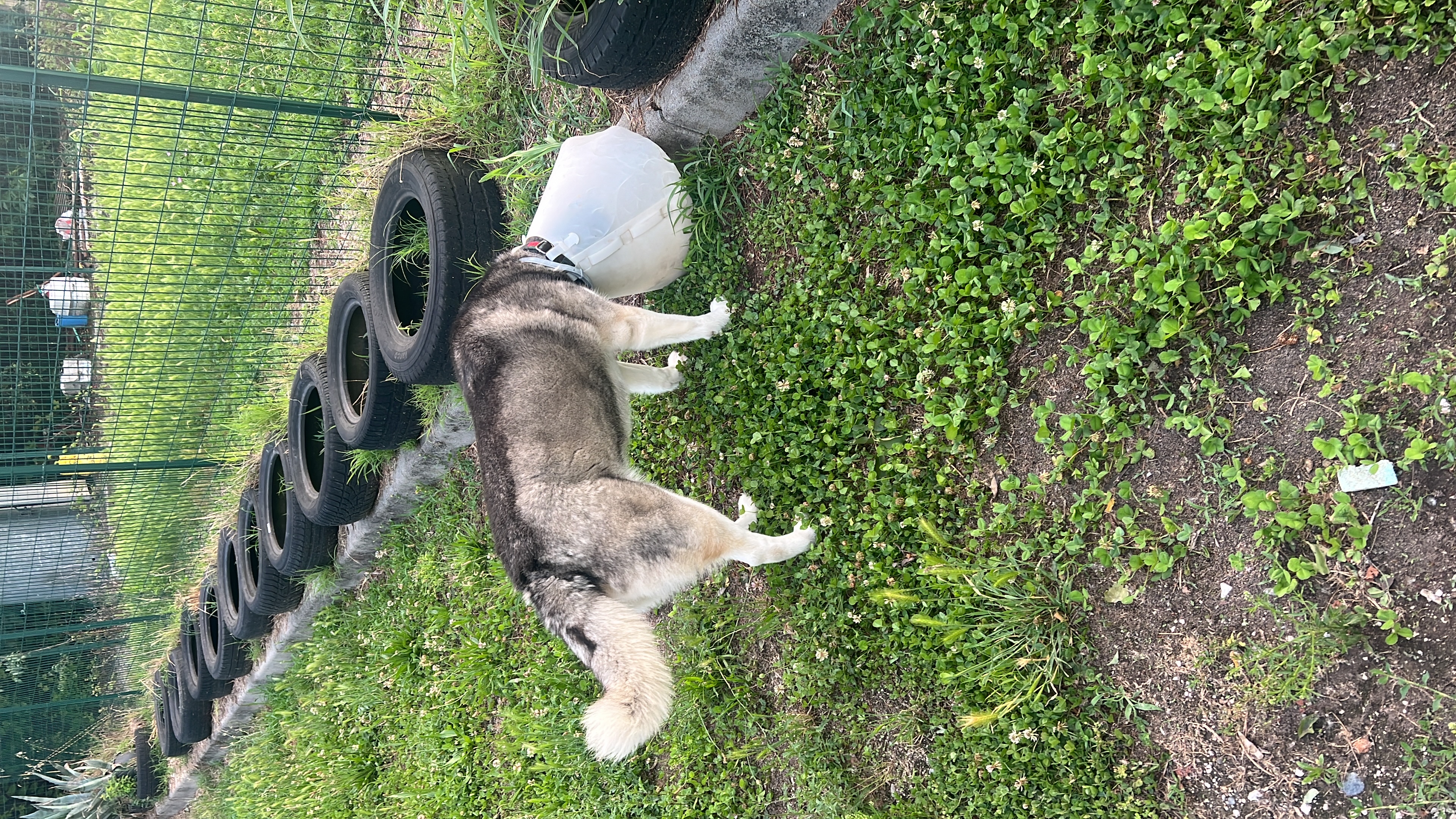 image-7