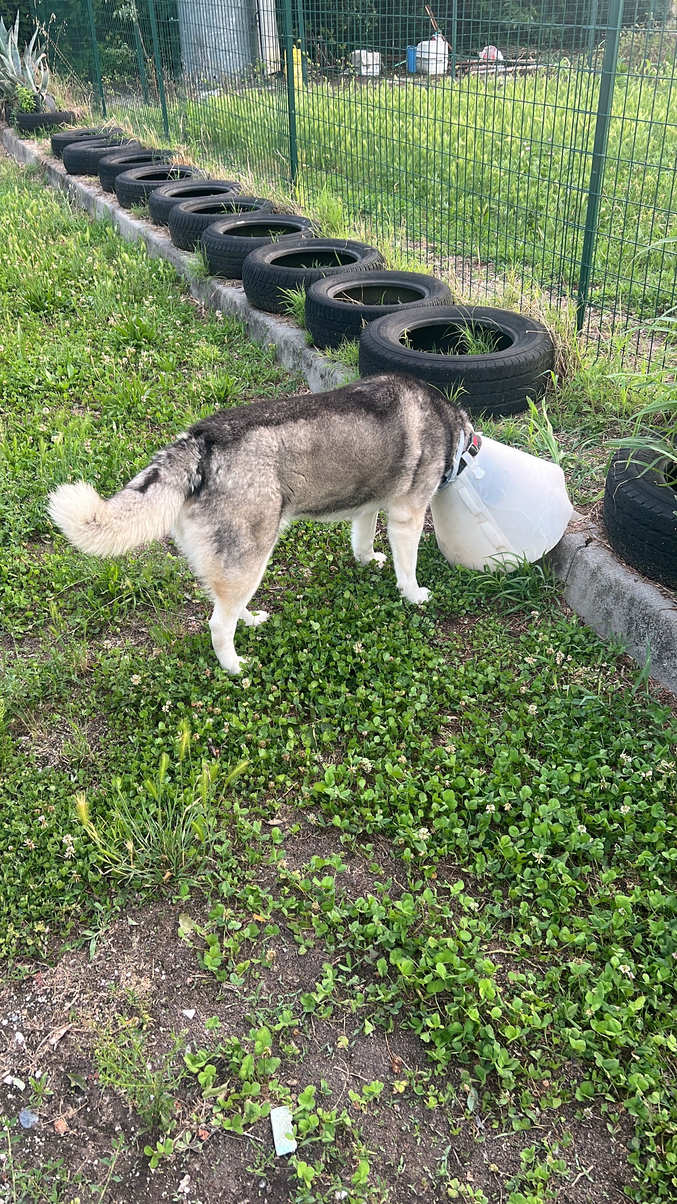 image-7