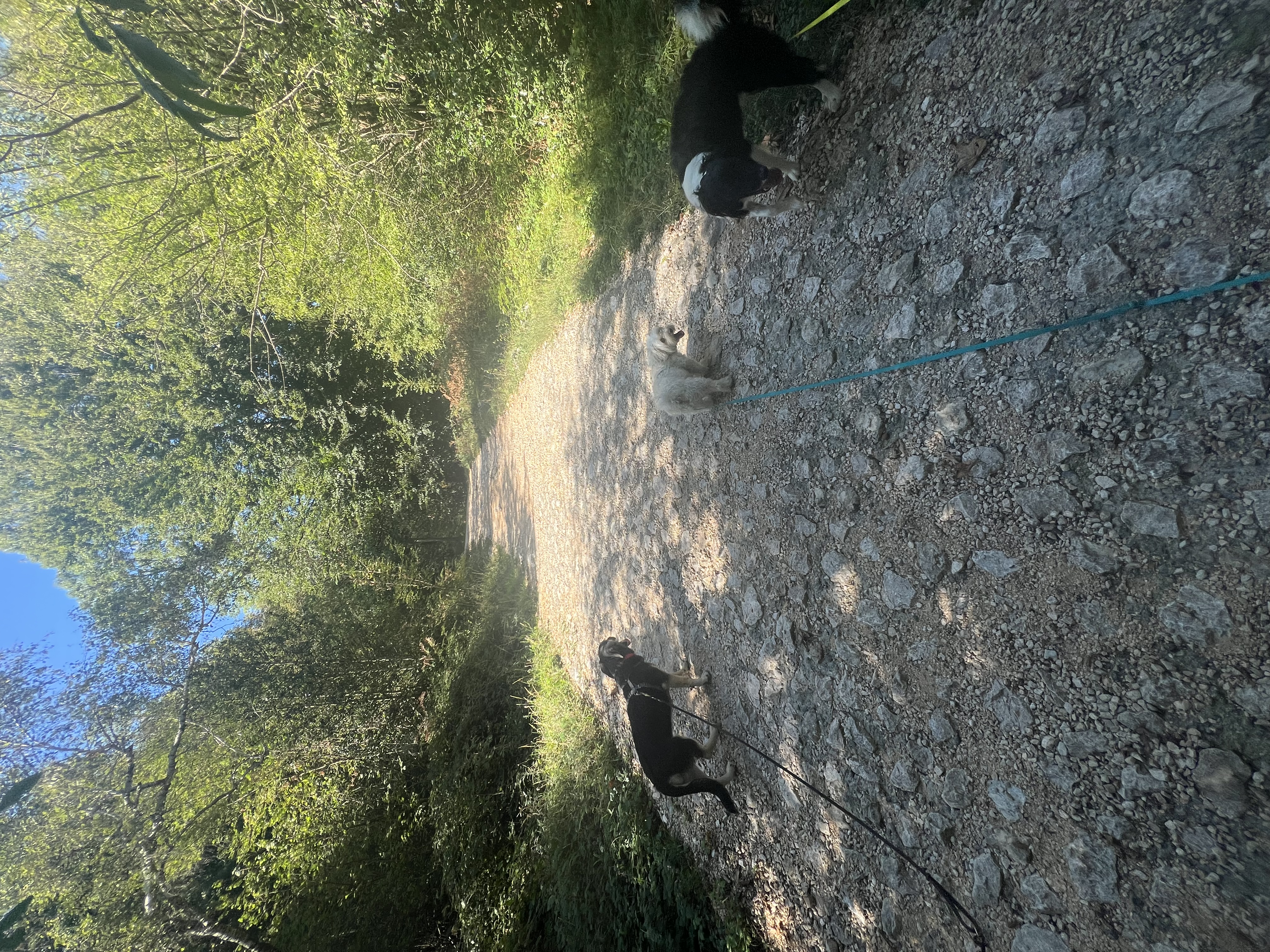 image-8