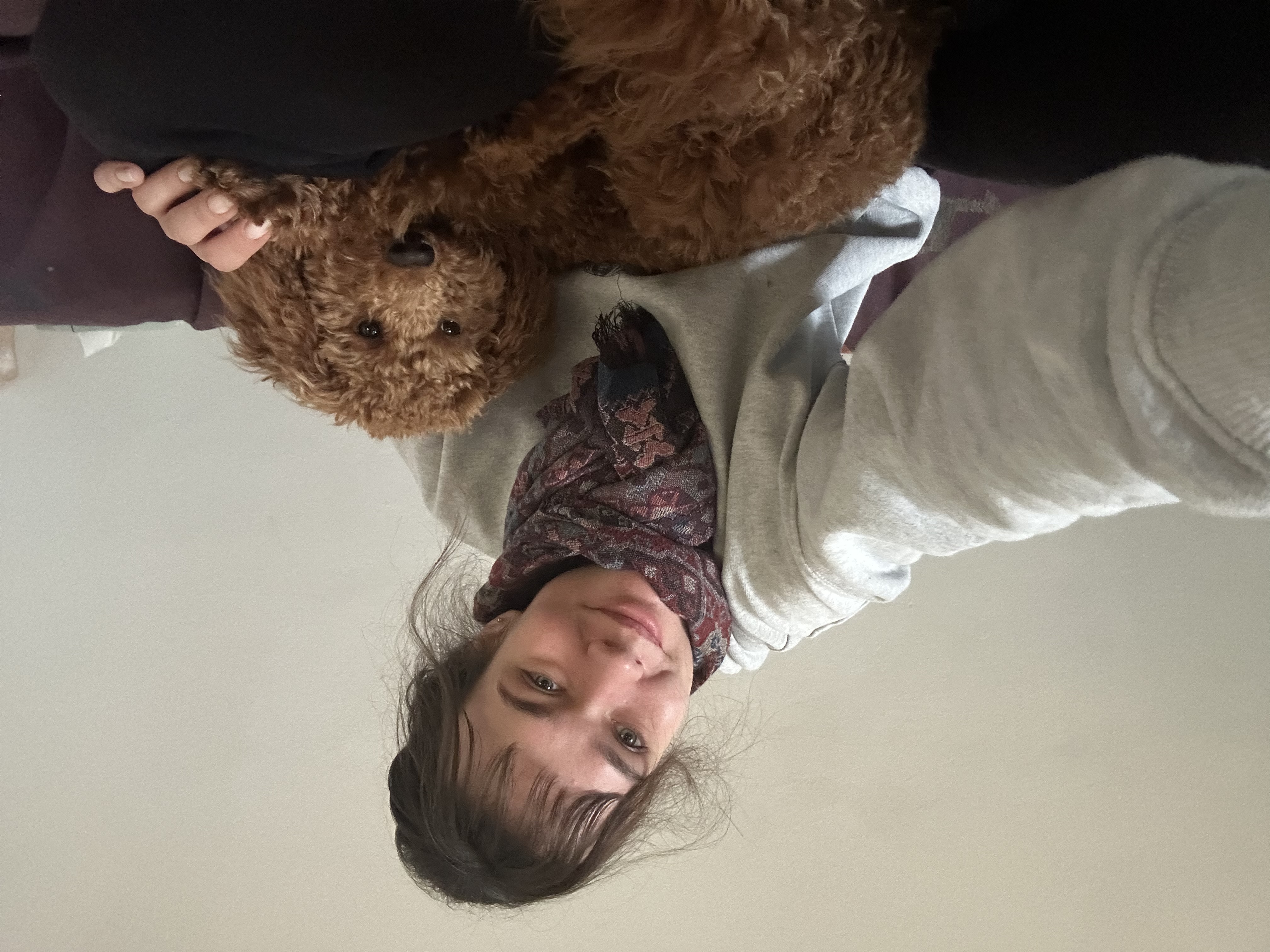 image-6