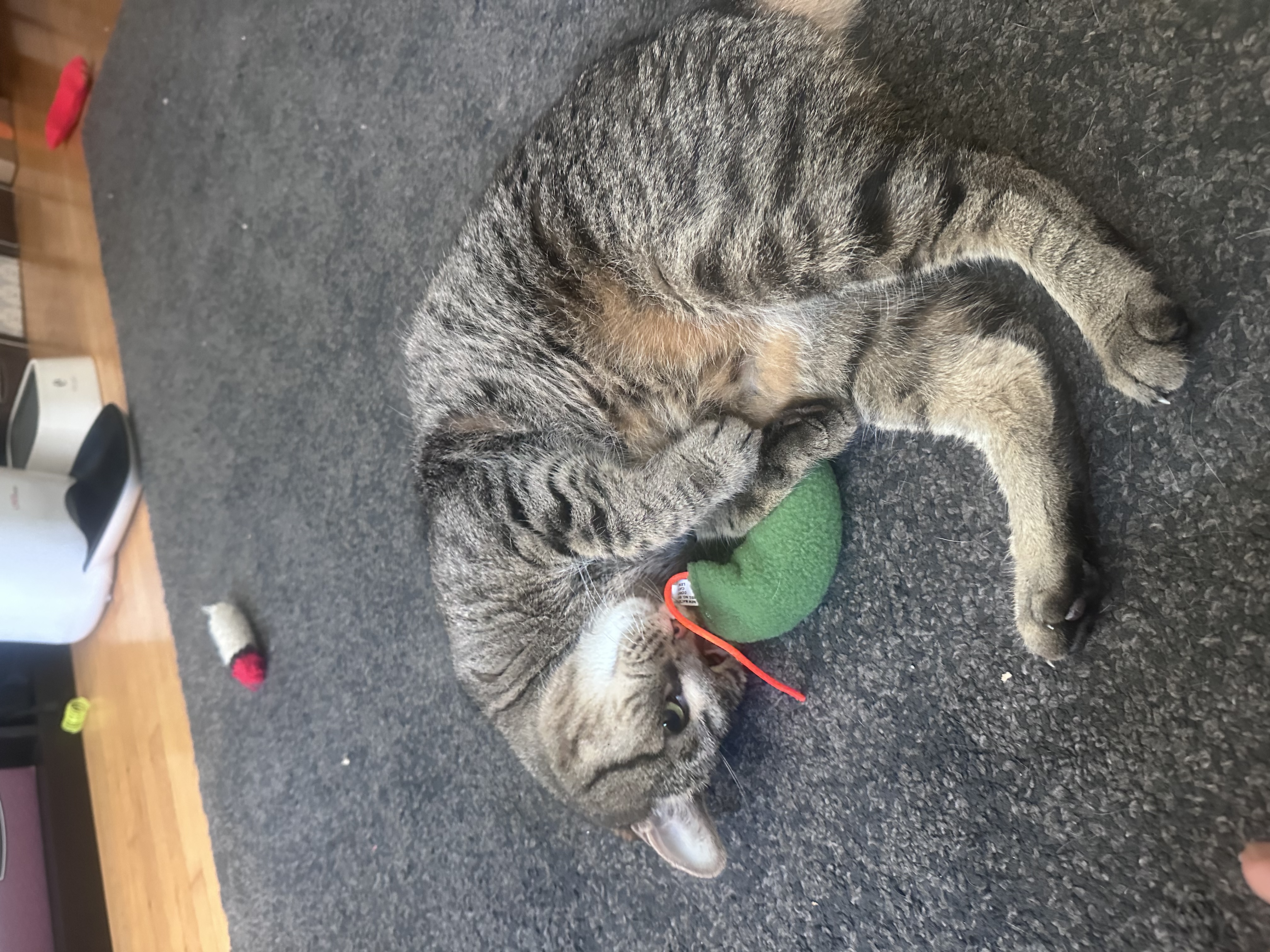 image-12