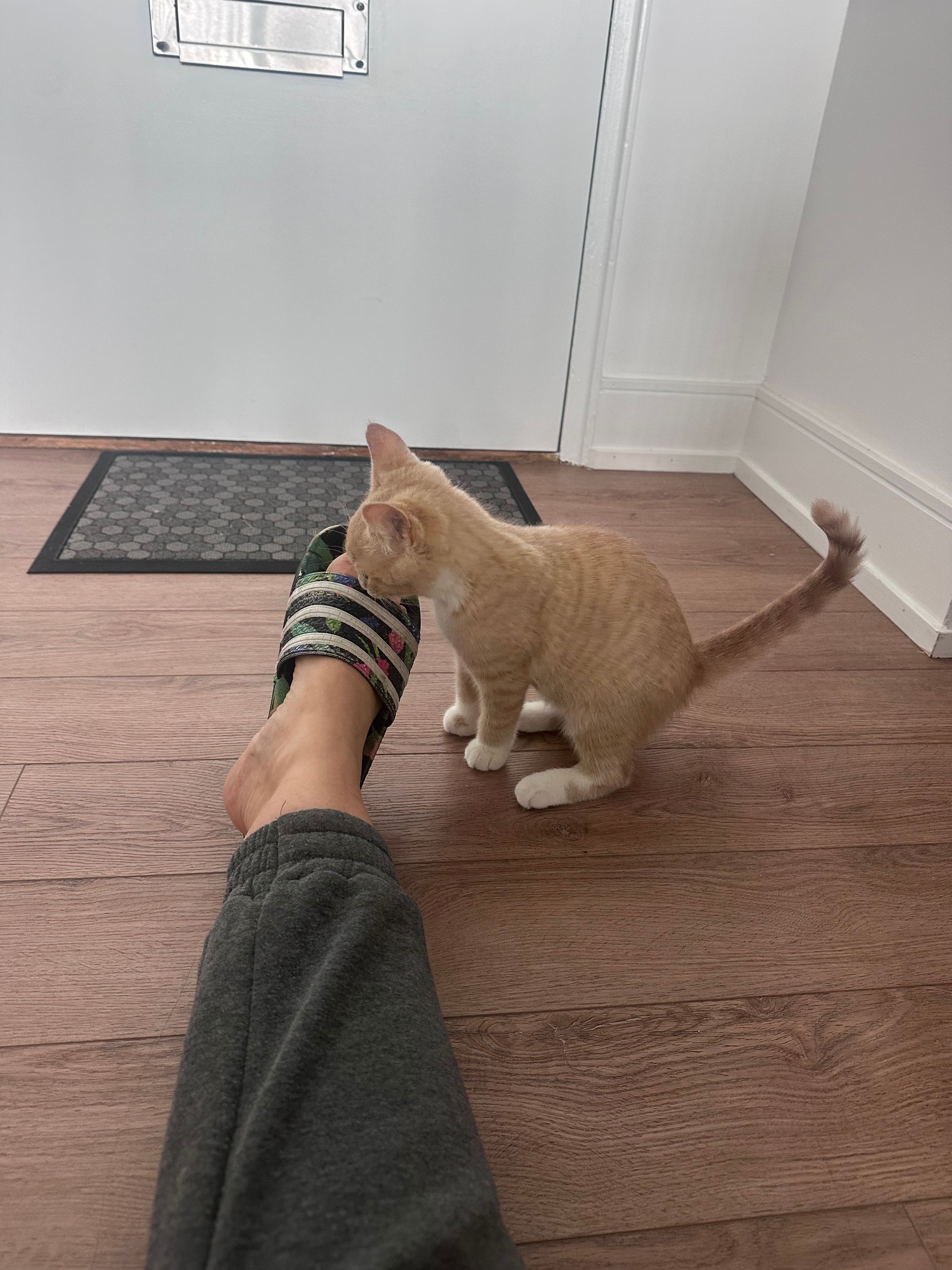 image-16