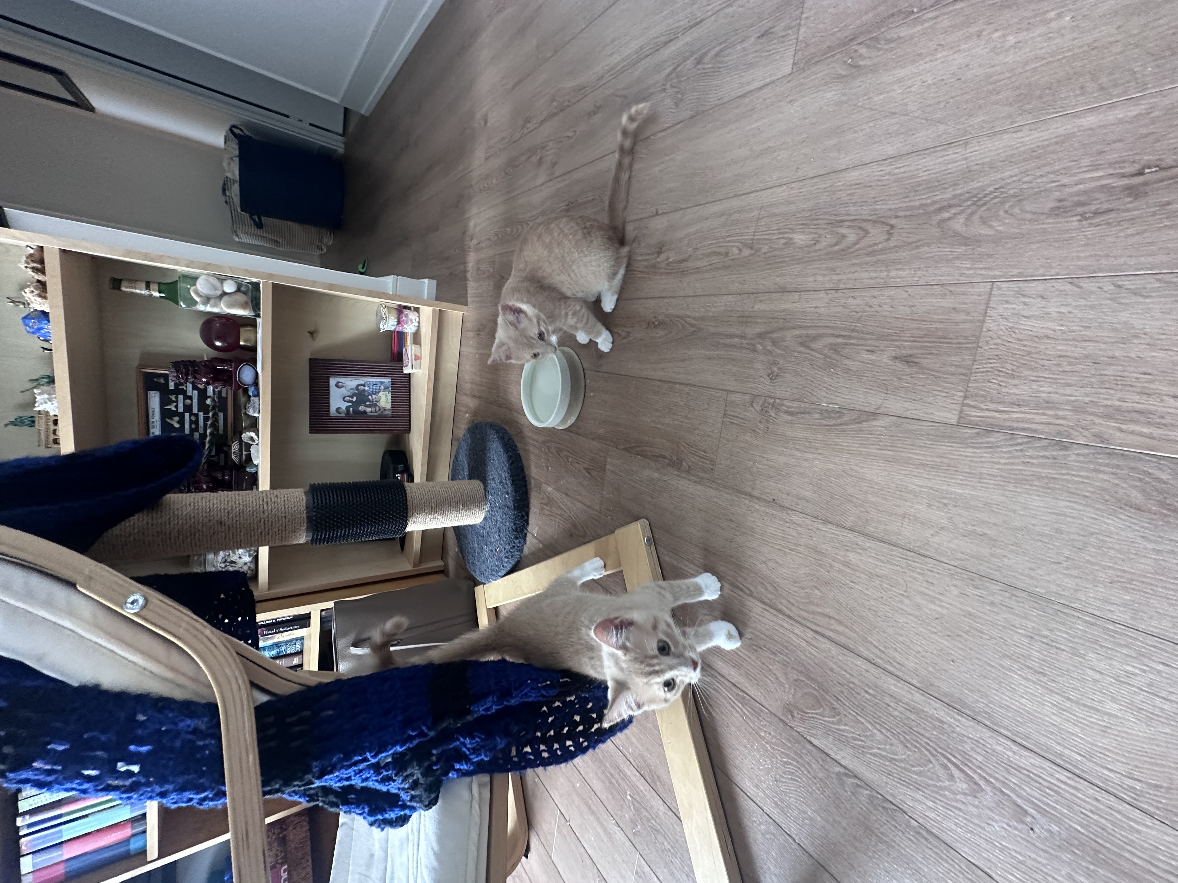 image-18