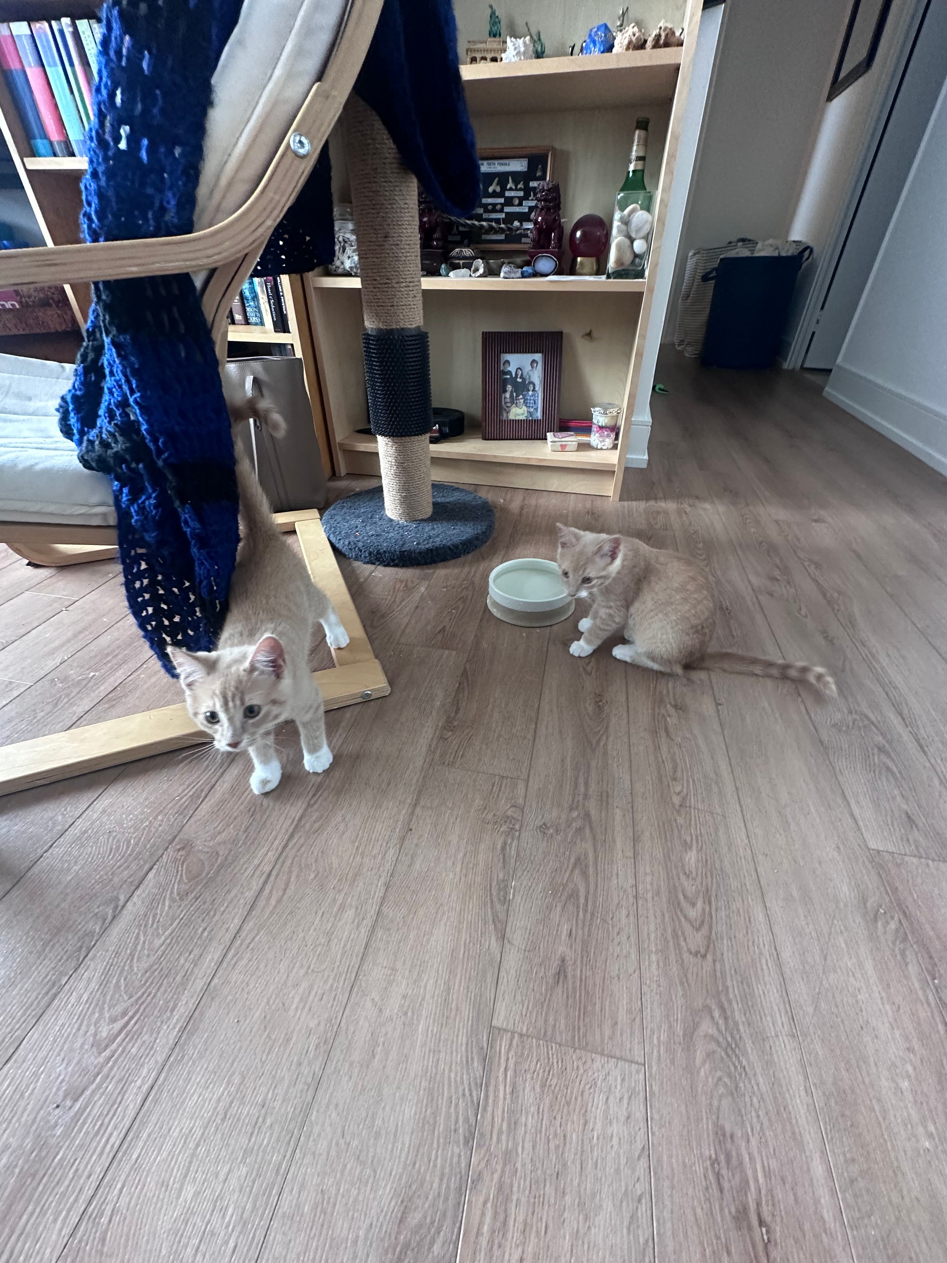 image-18