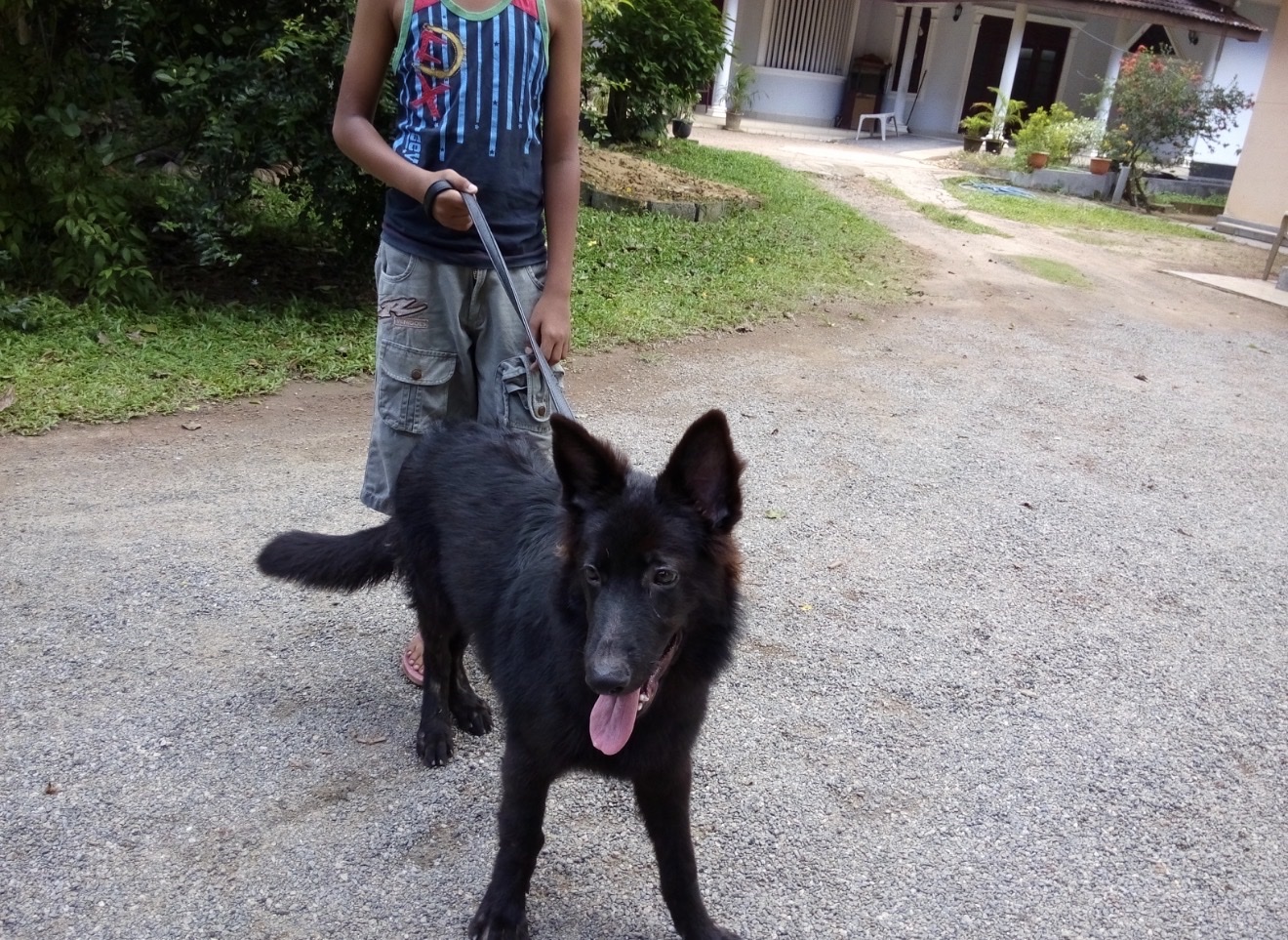 image-10