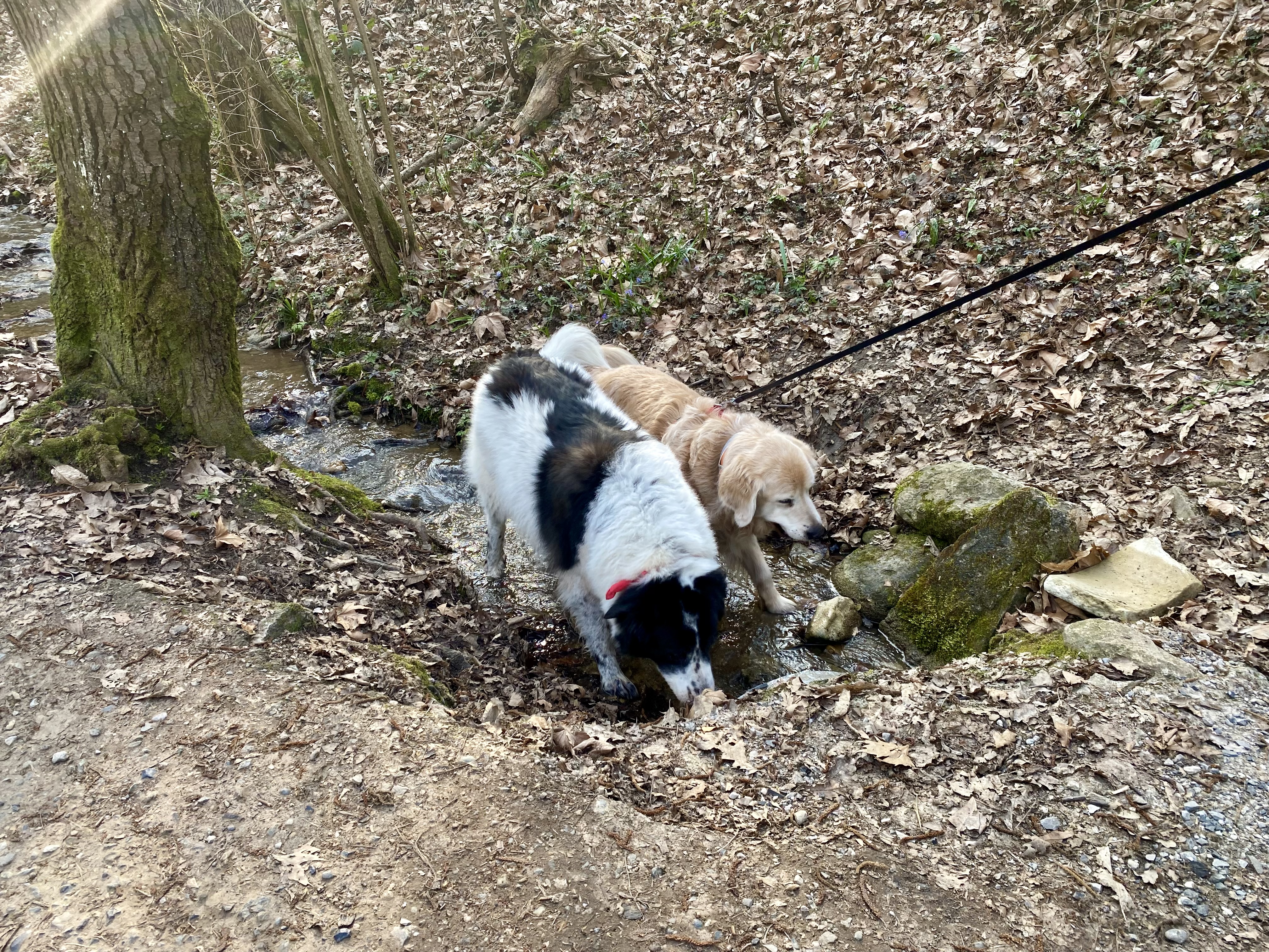 image-7